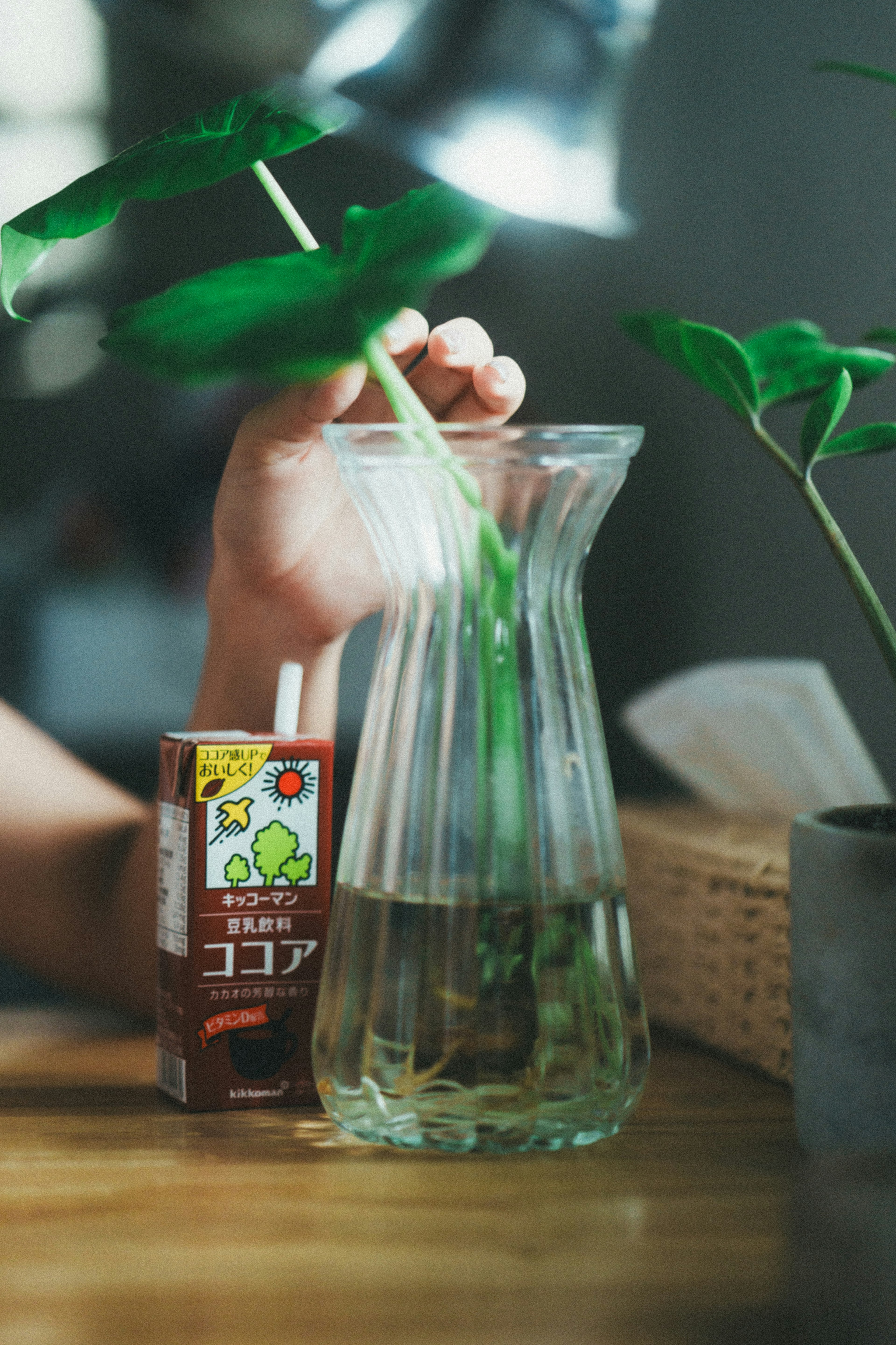 一个装有植物茎的玻璃花瓶和旁边的可可饮料纸盒