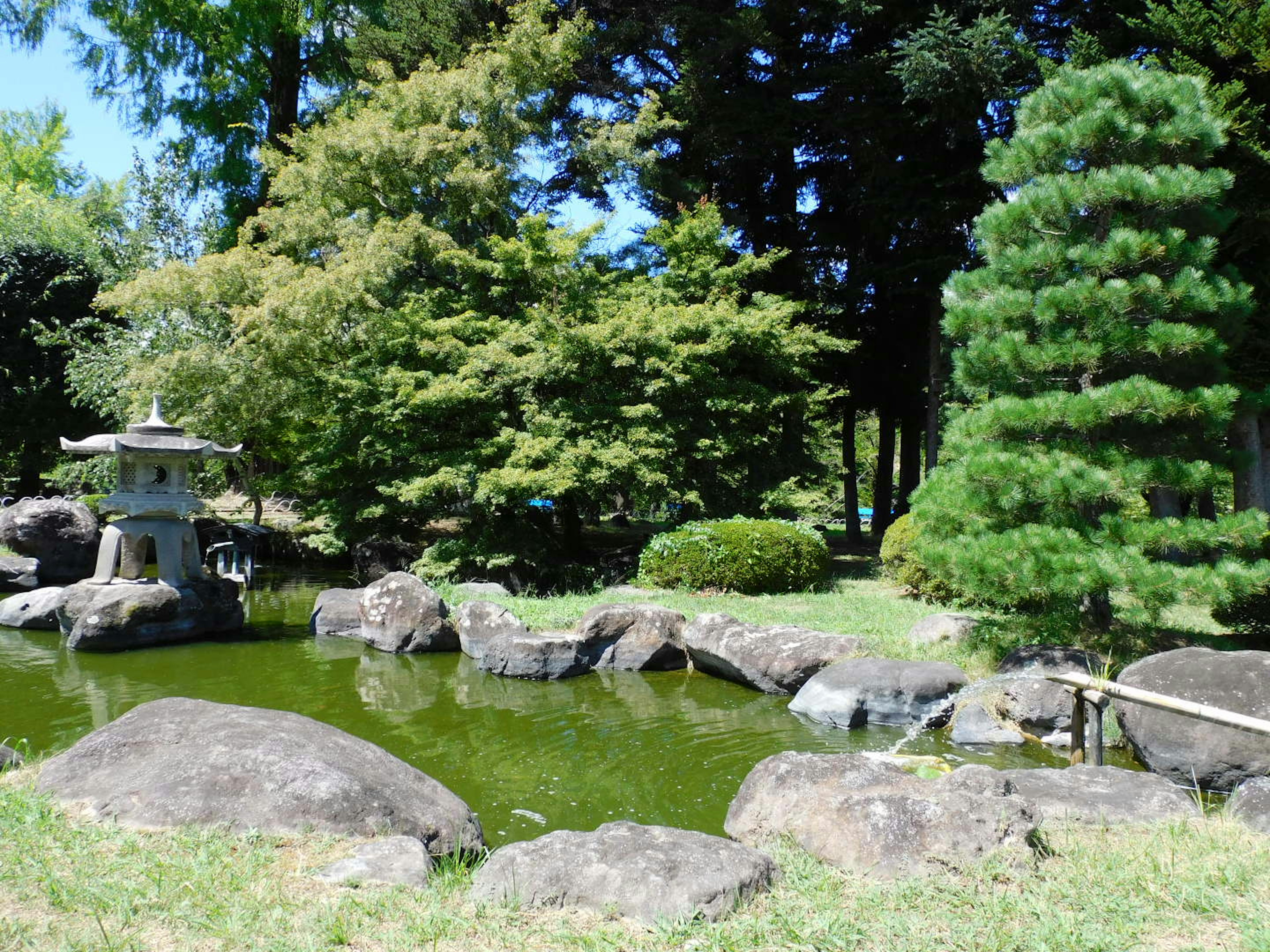 日本庭园有一个池塘和石灯笼，周围环绕着郁郁葱葱的绿色植物和岩石