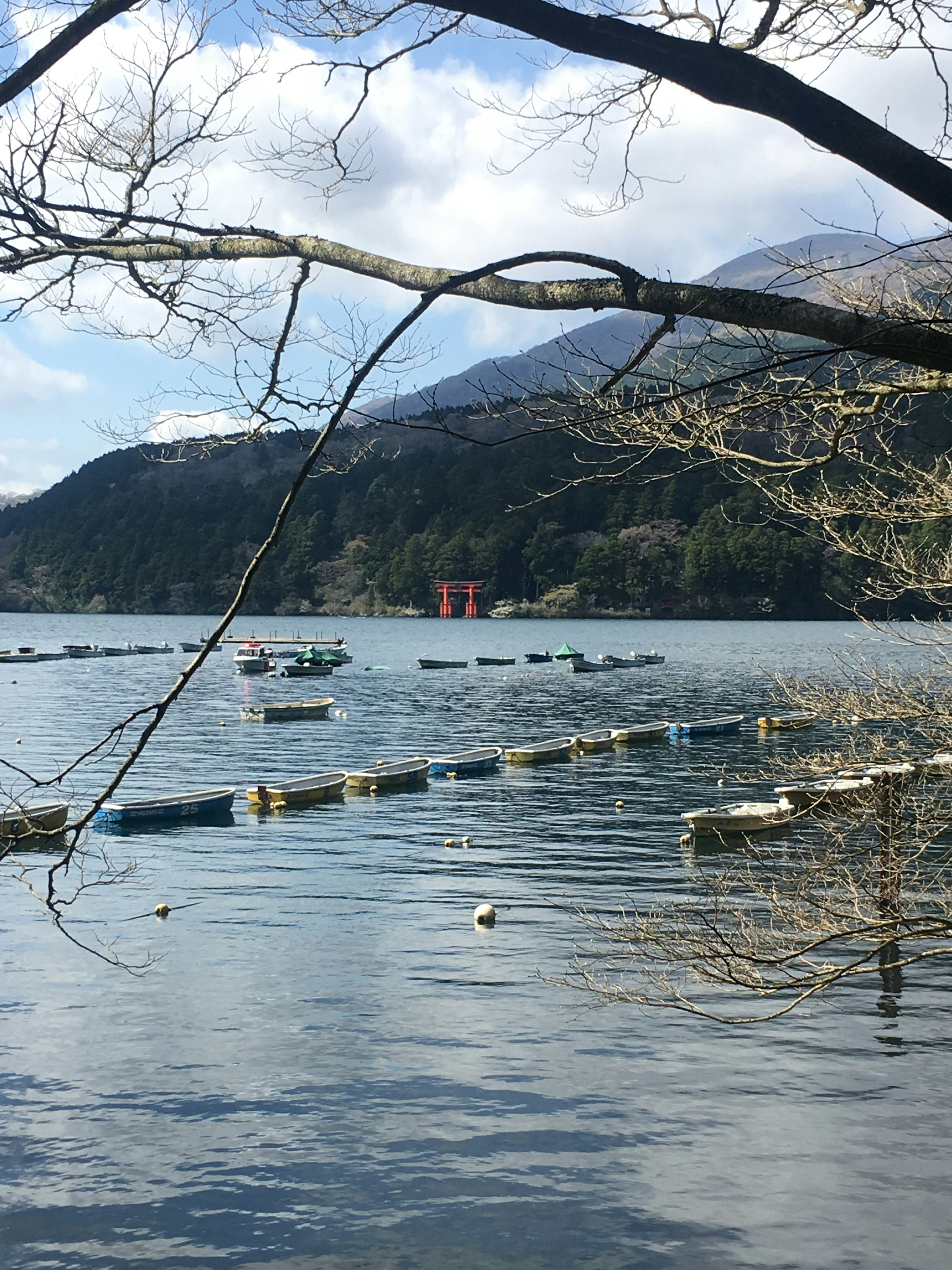 湖の穏やかな水面に浮かぶボートと遠くの山々が見える風景