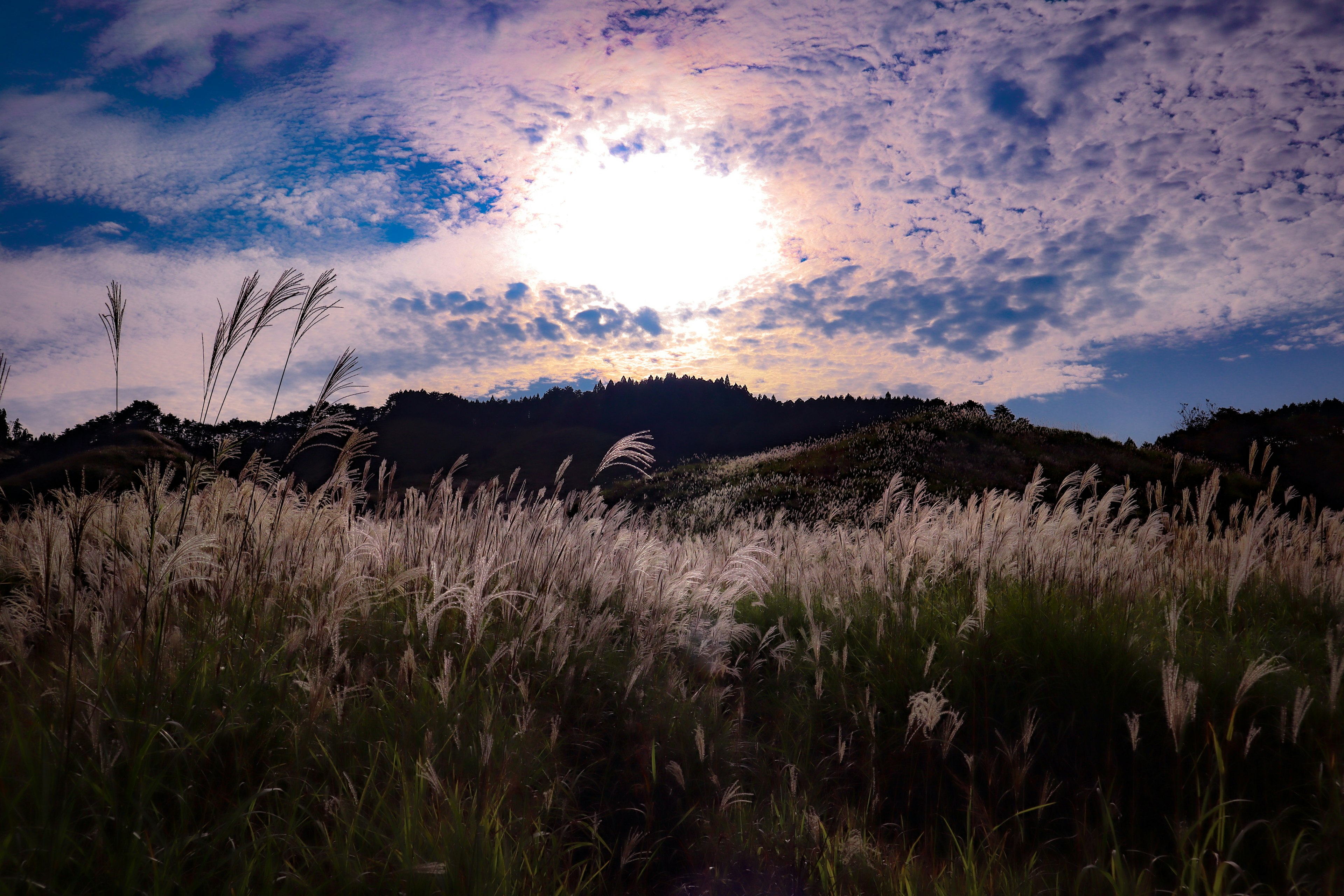 Vista panoramica di campi erbosi e montagne sotto un cielo blu con nuvole