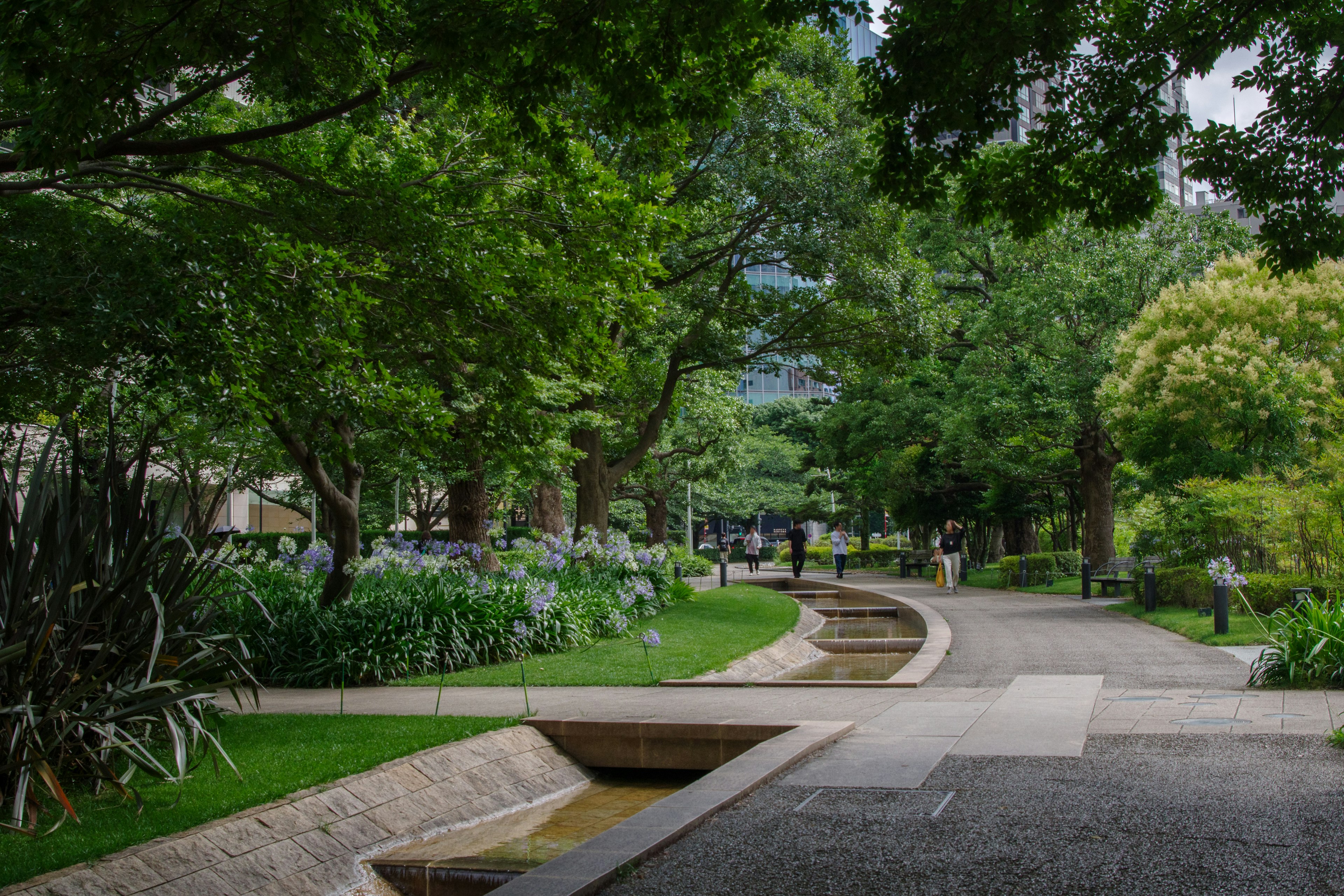 Lush green park path with flowing water