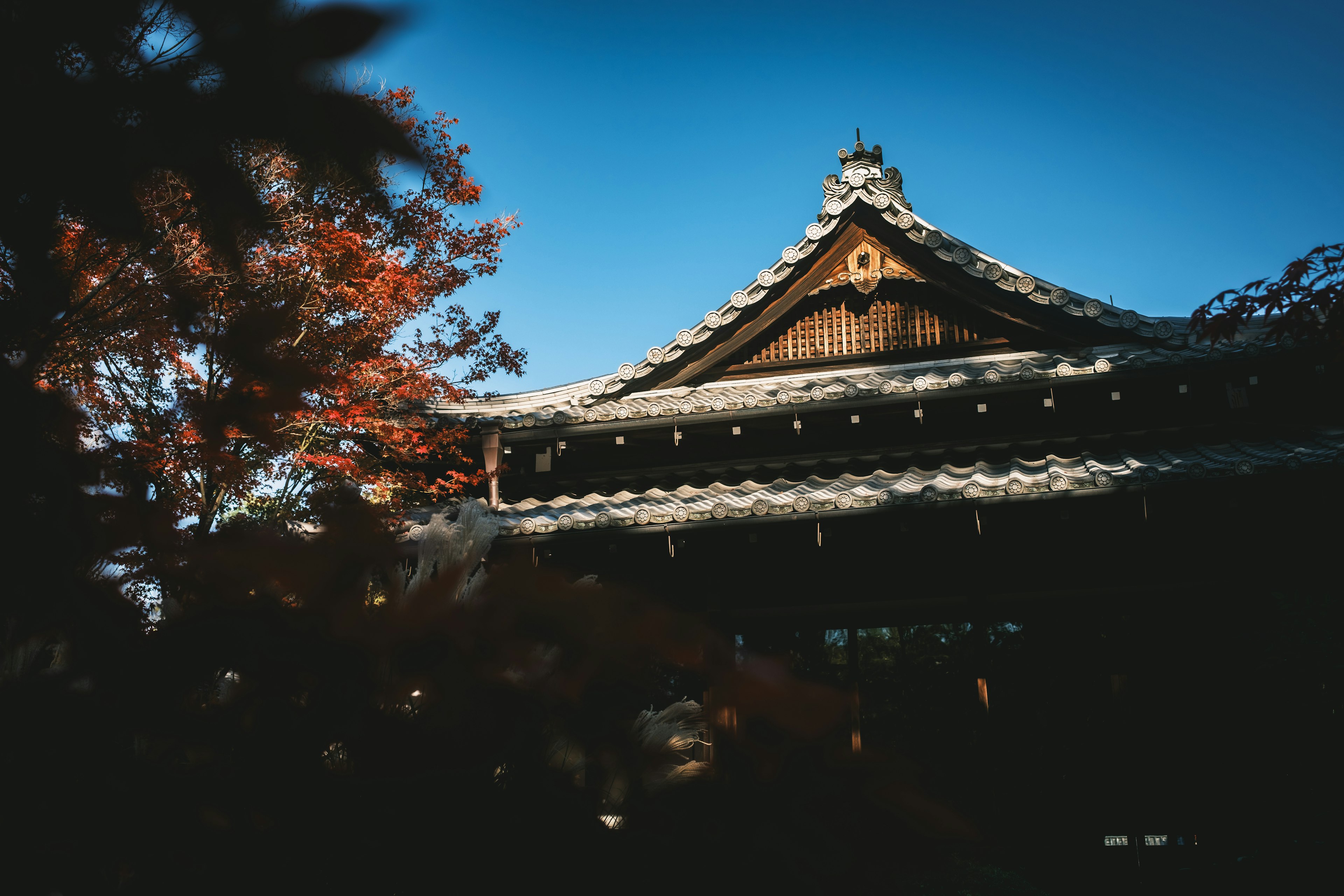 Traditional Japanese temple roof under blue sky with autumn leaves