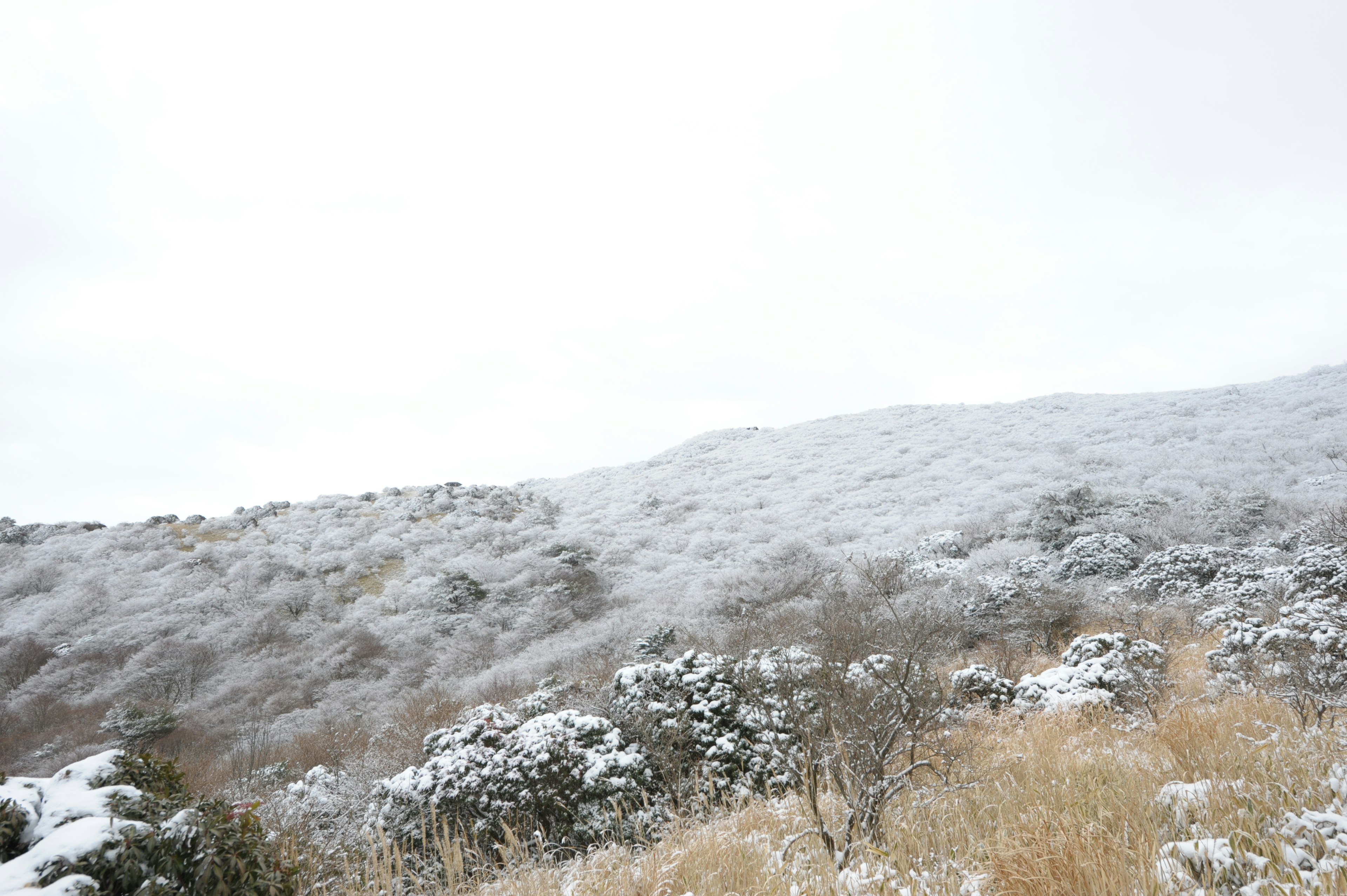 雪覆蓋的山丘和陰雲密布的天空