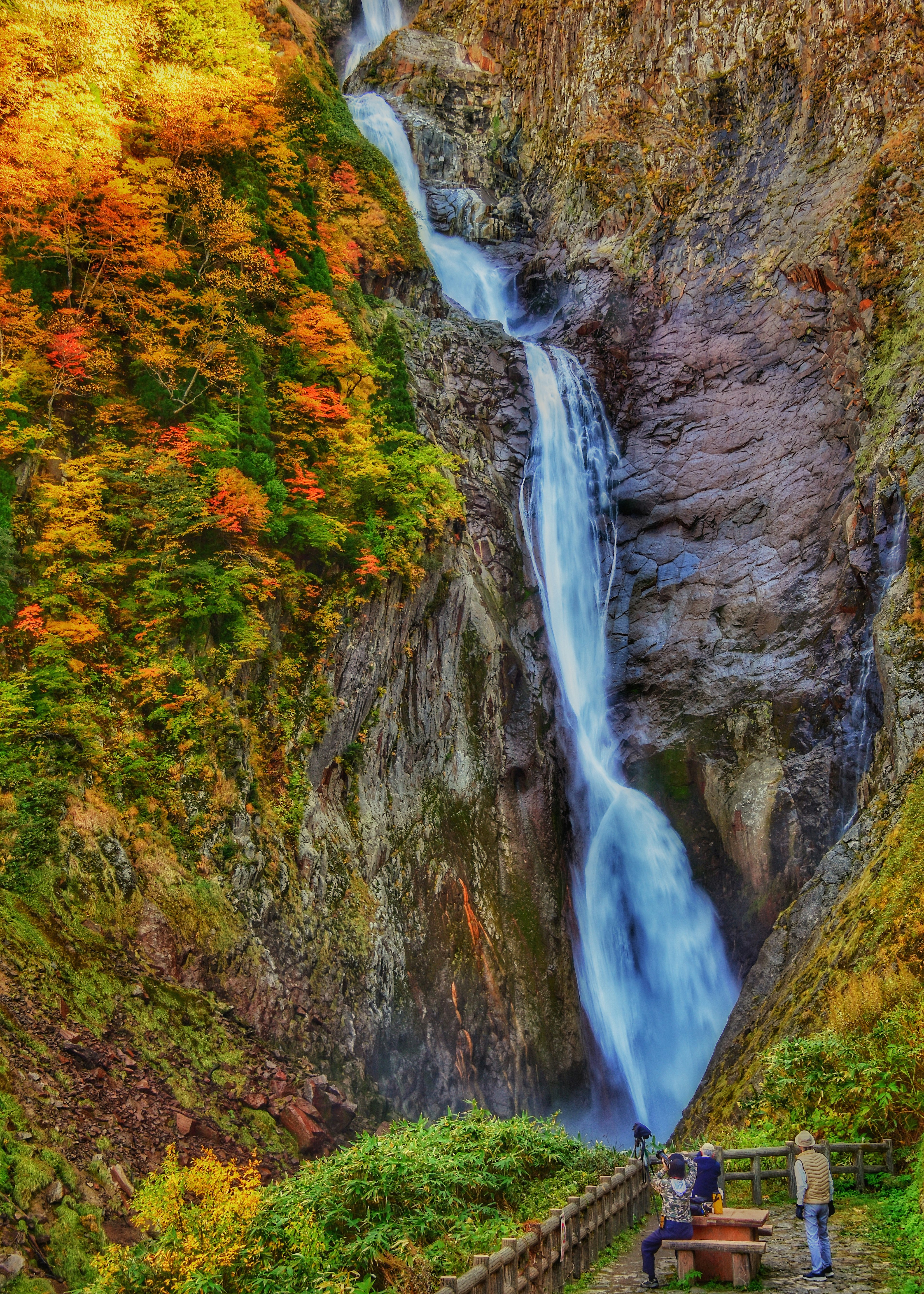 紅葉に囲まれた美しい滝と観光客の風景