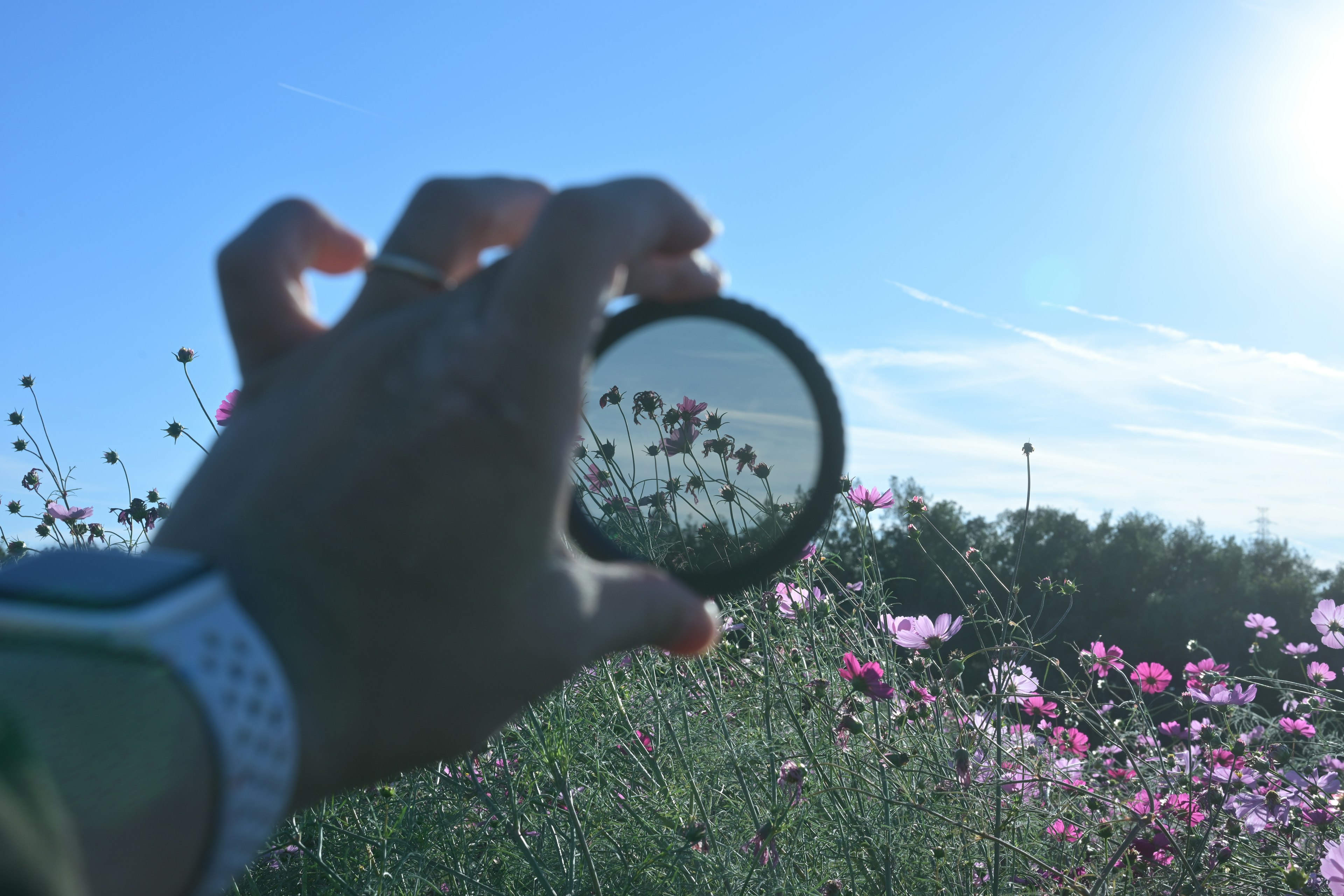 Hand holding a lens showing a flower field and blue sky