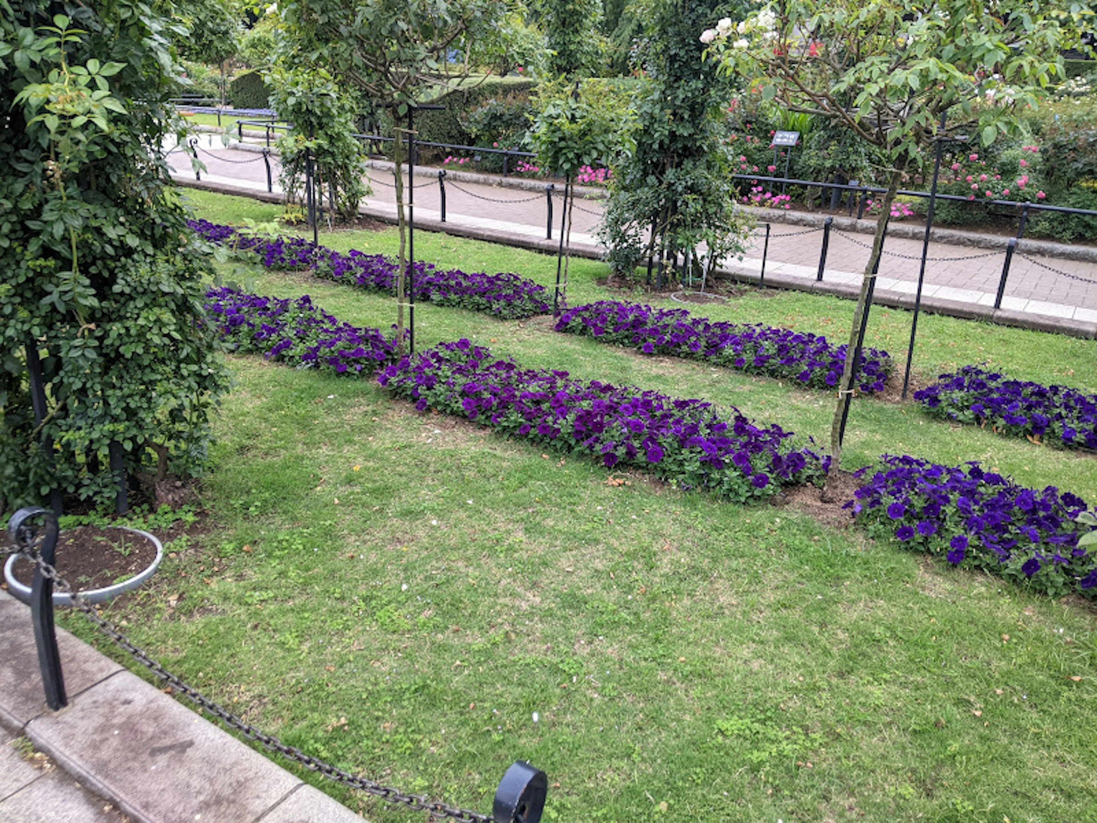 Paisaje de parque con flores moradas dispuestas ordenadamente