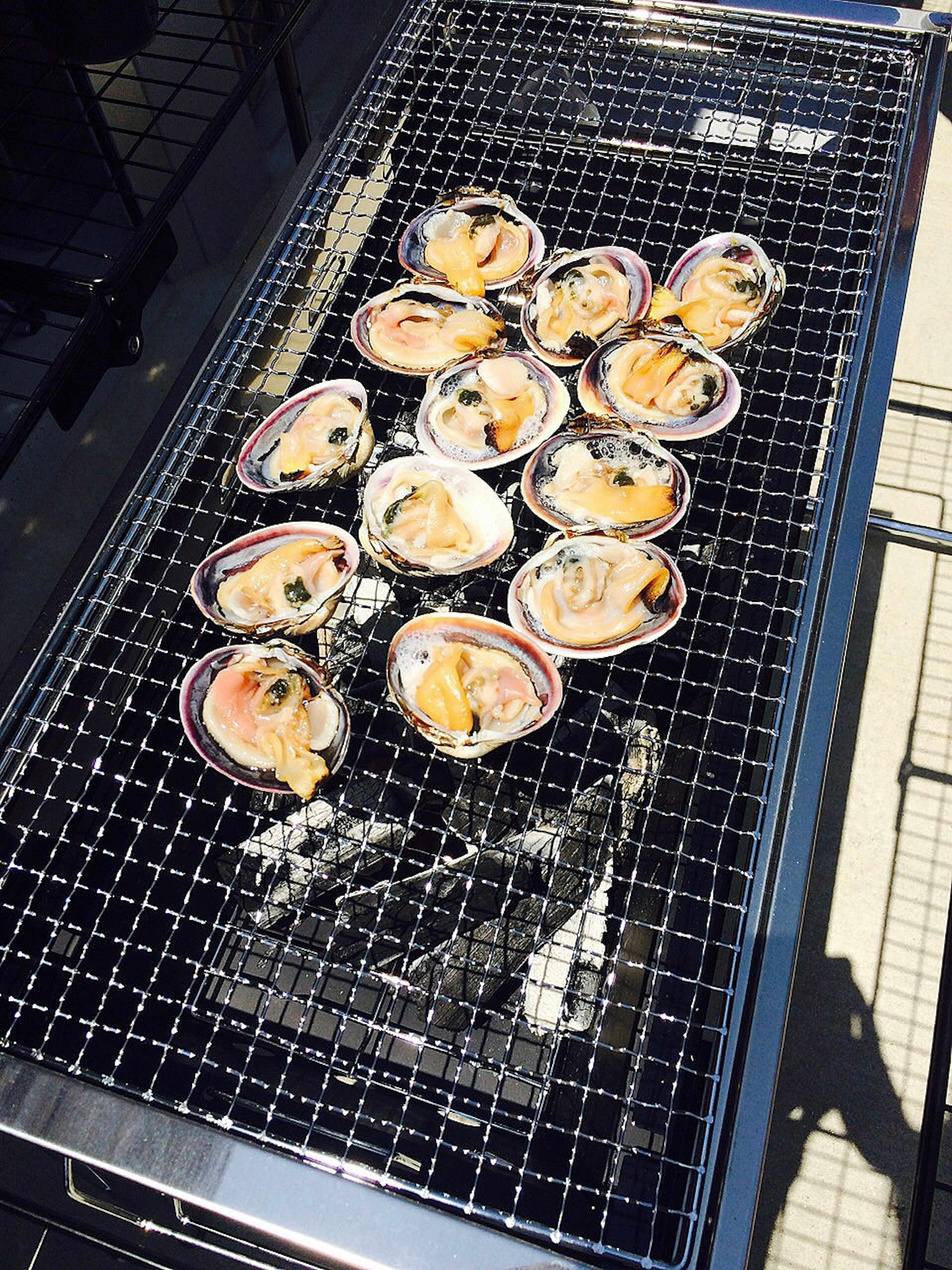 Grilled clams arranged on a barbecue grill