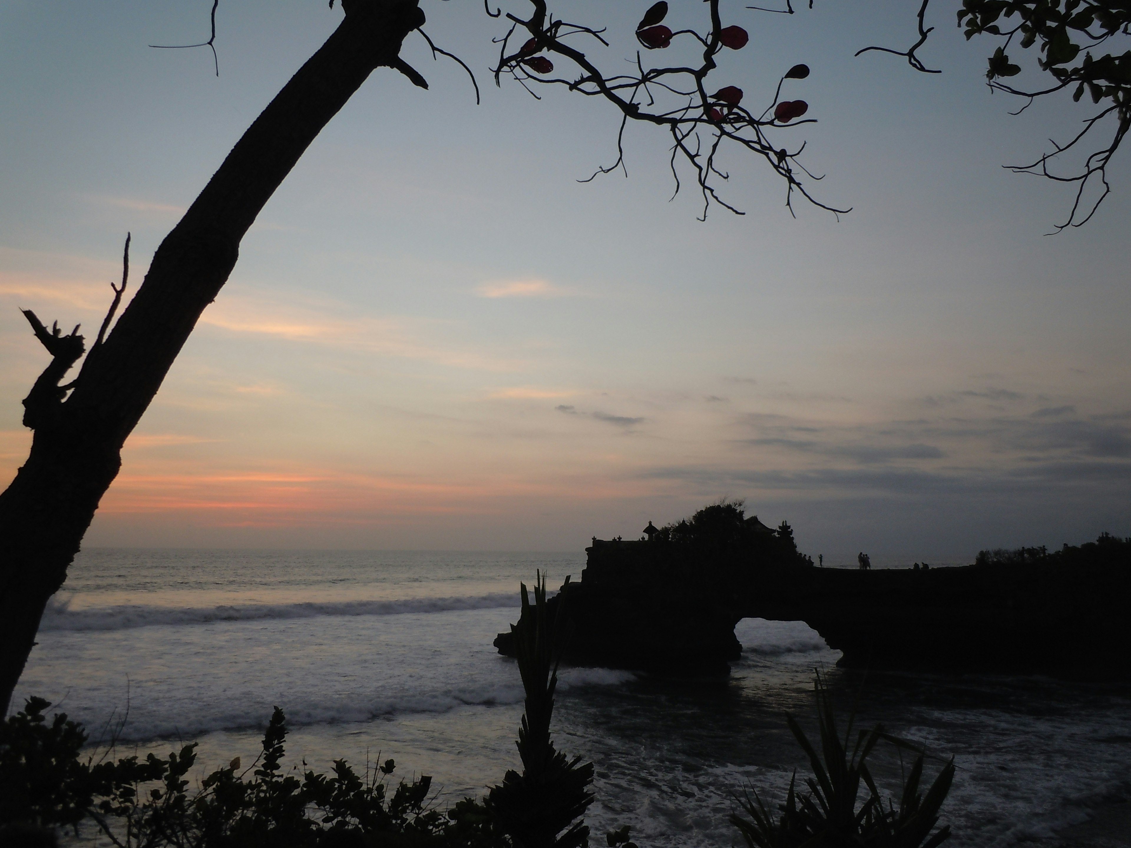 Silhouette di un'arco di roccia e alberi al tramonto vicino al mare