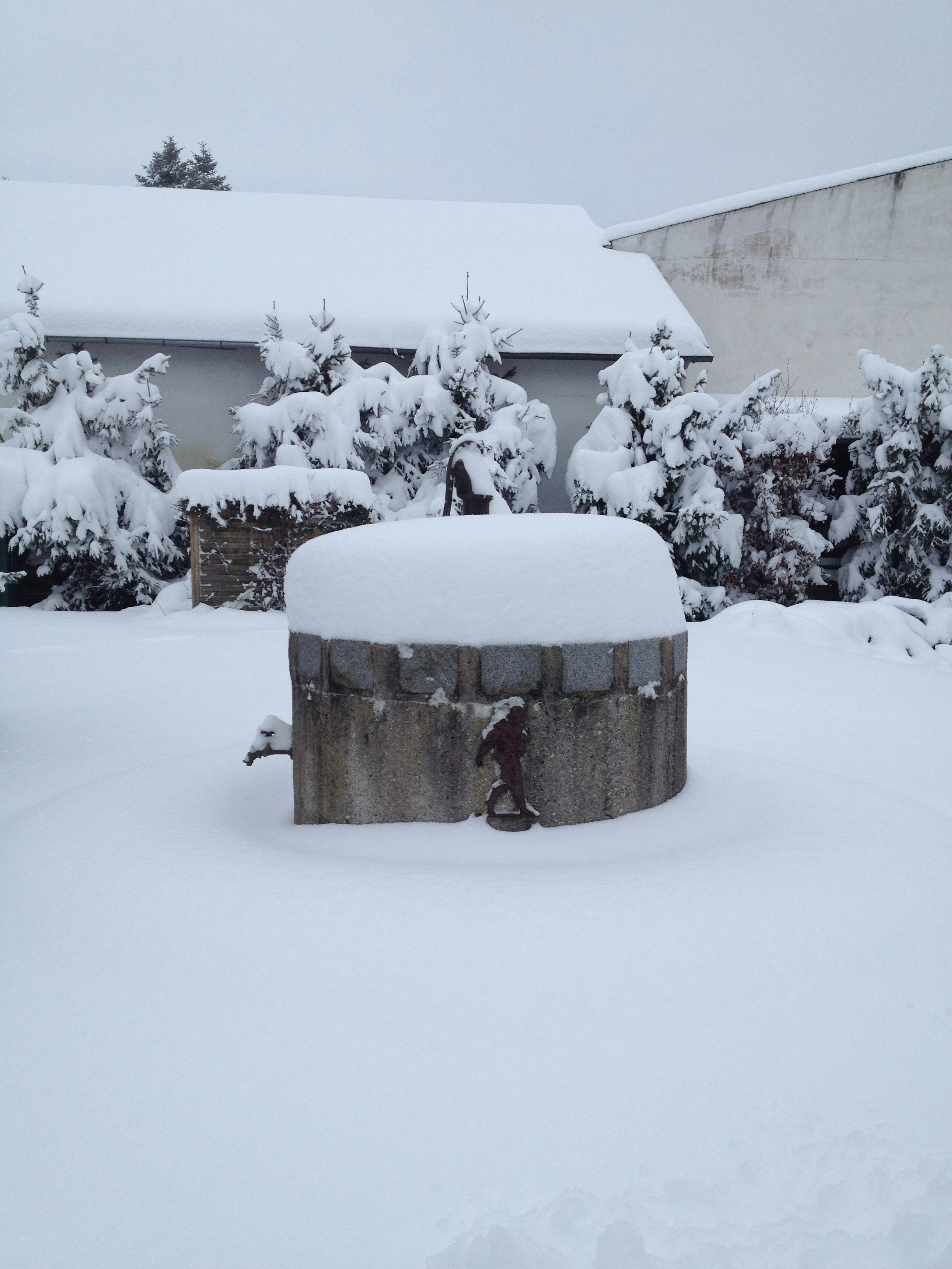 雪に覆われた屋外の水槽と周囲の雪景色