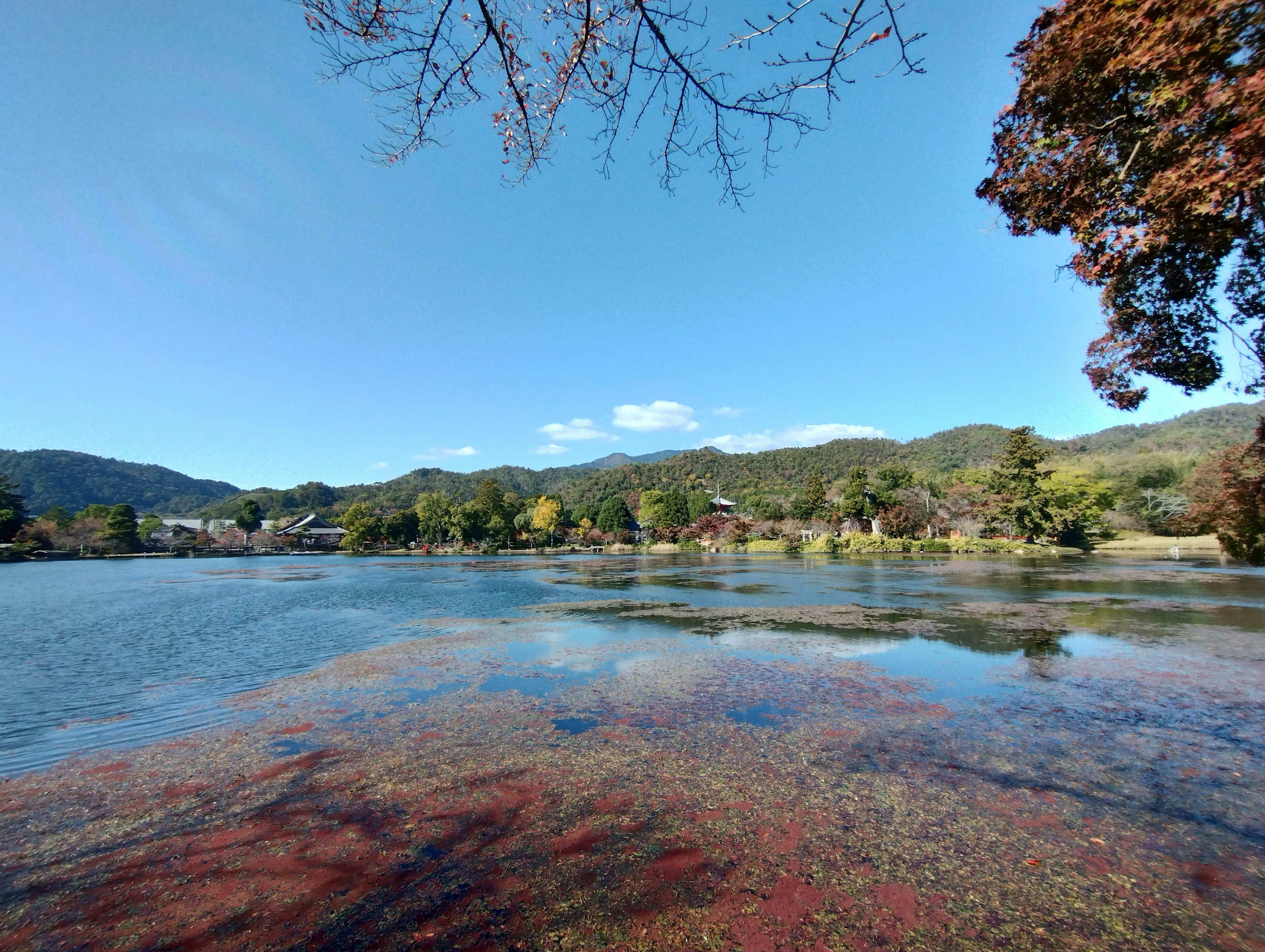 湖泊的风景背景是山脉晴朗的蓝天和秋天的树叶