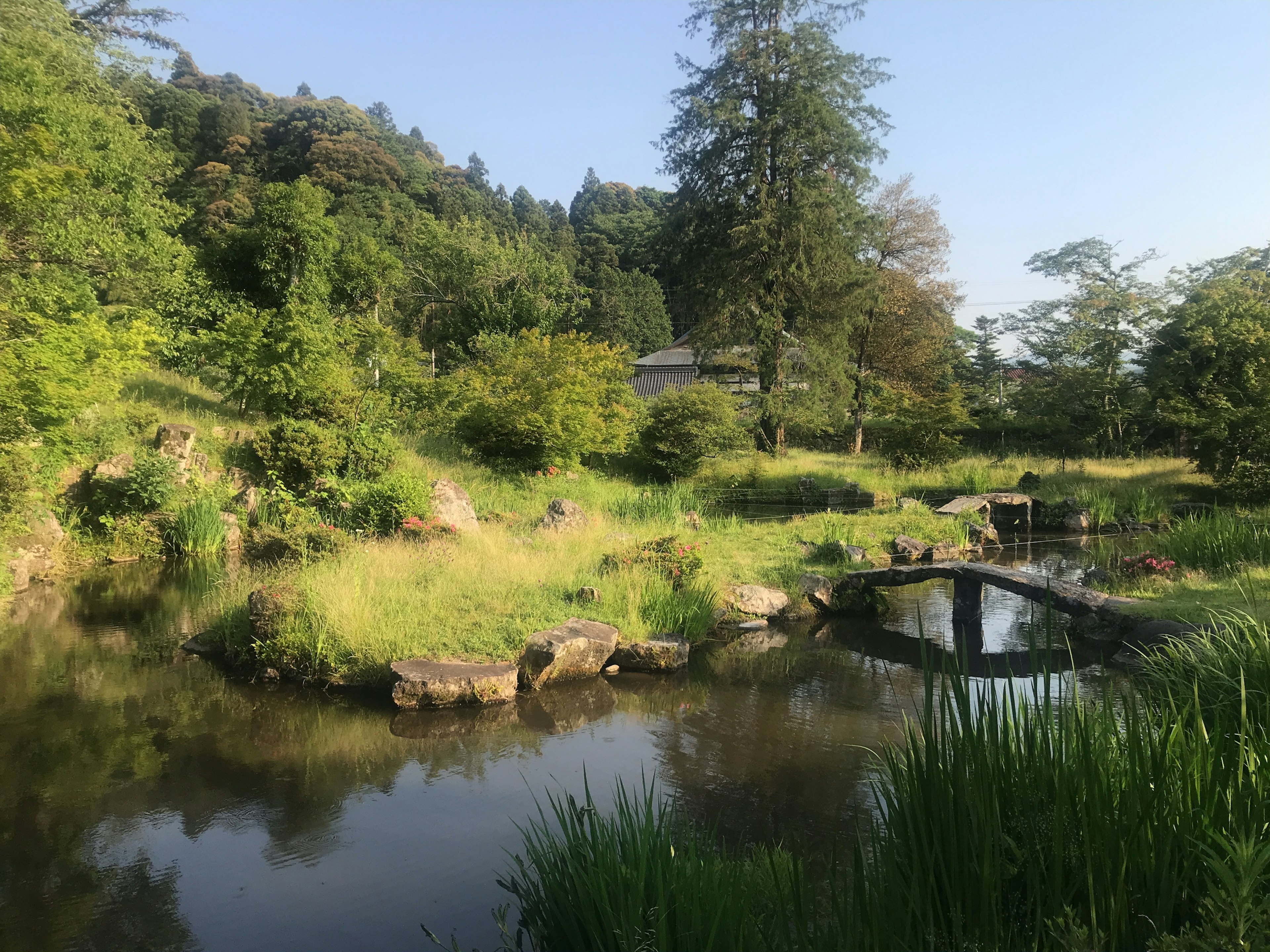 Stagno sereno con vegetazione lussureggiante in un giardino giapponese