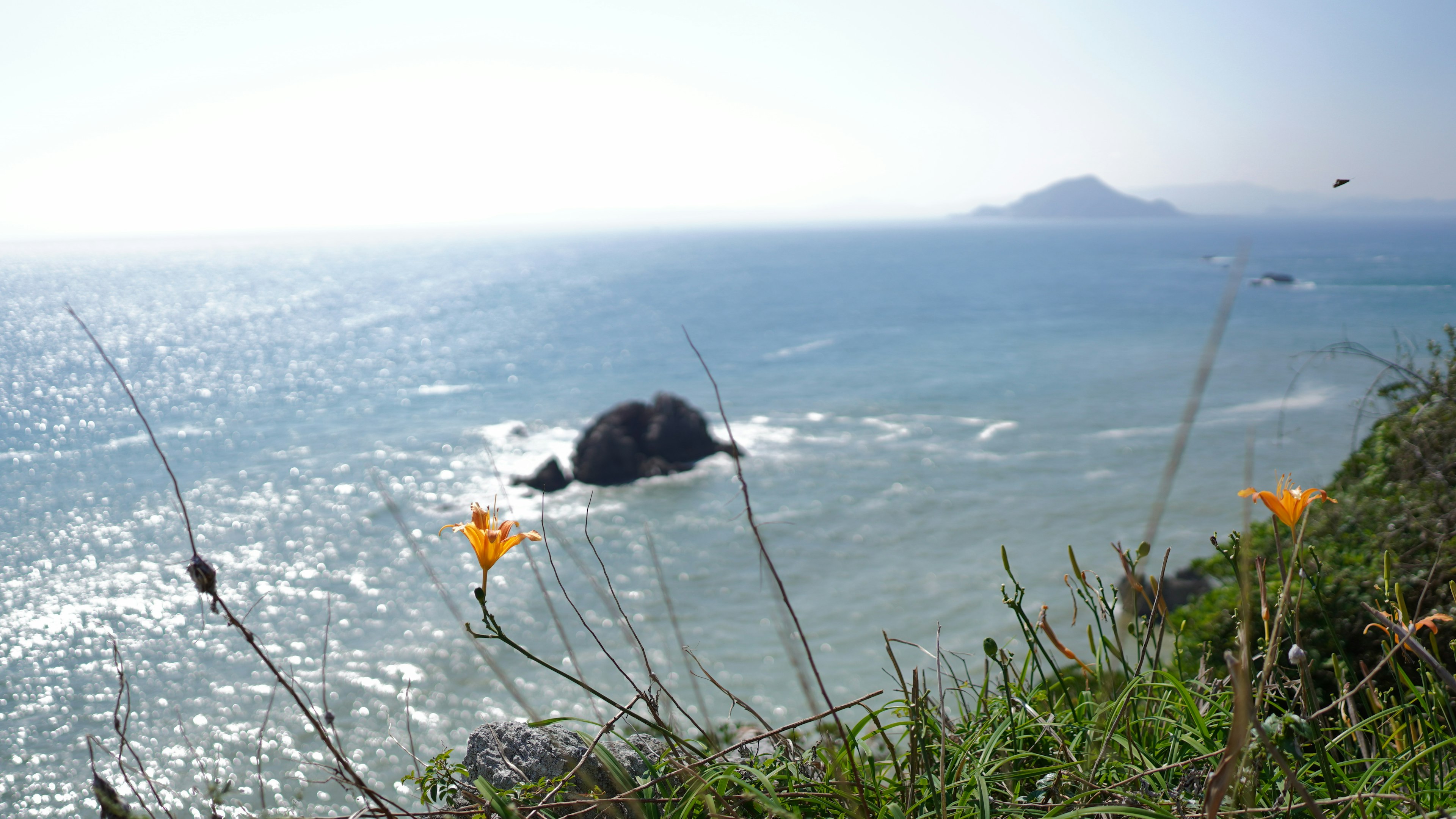 海岸の草と花が見える海の景色