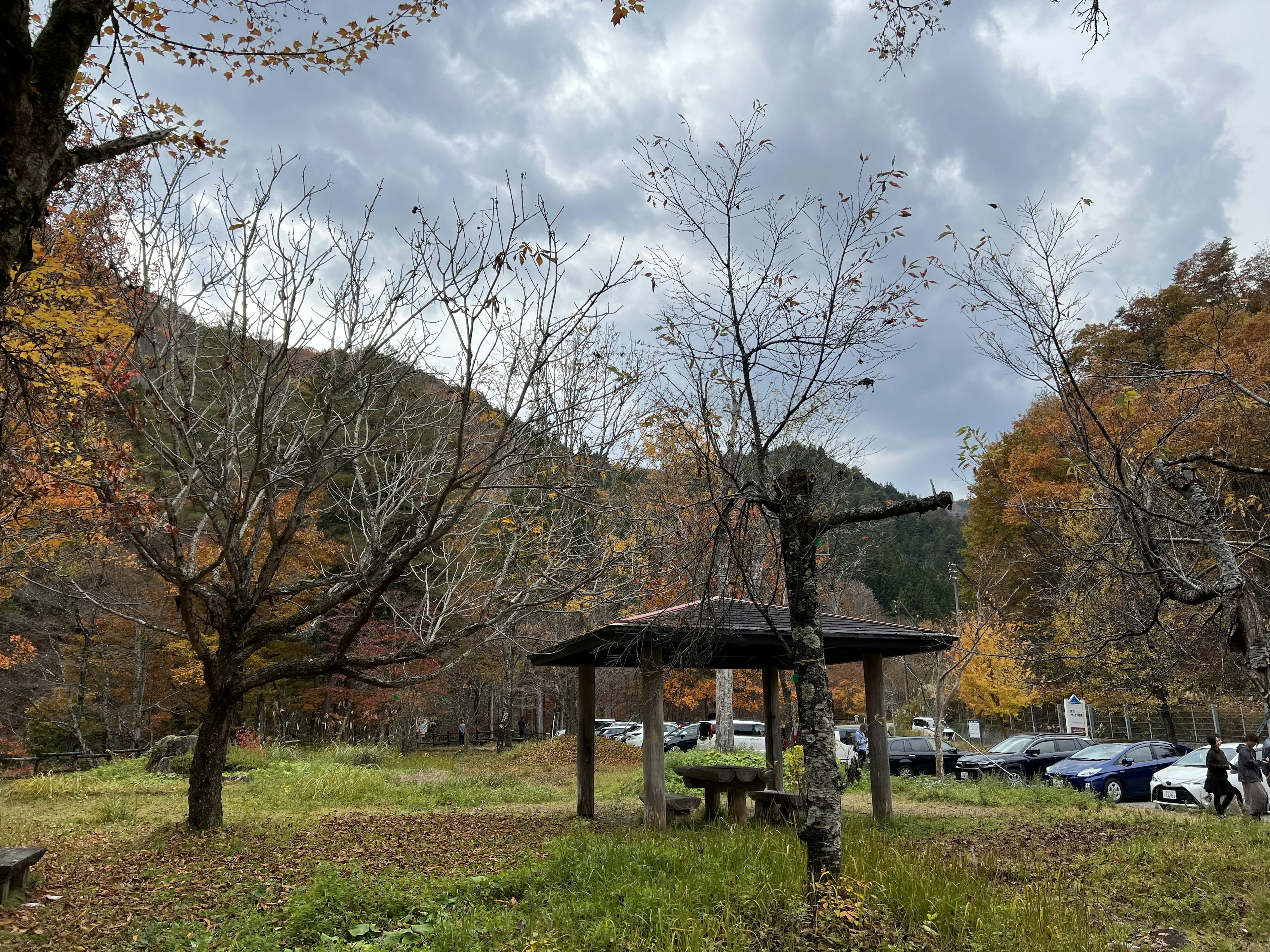 Autumn park scene with colorful trees and cloudy sky picnic shelter