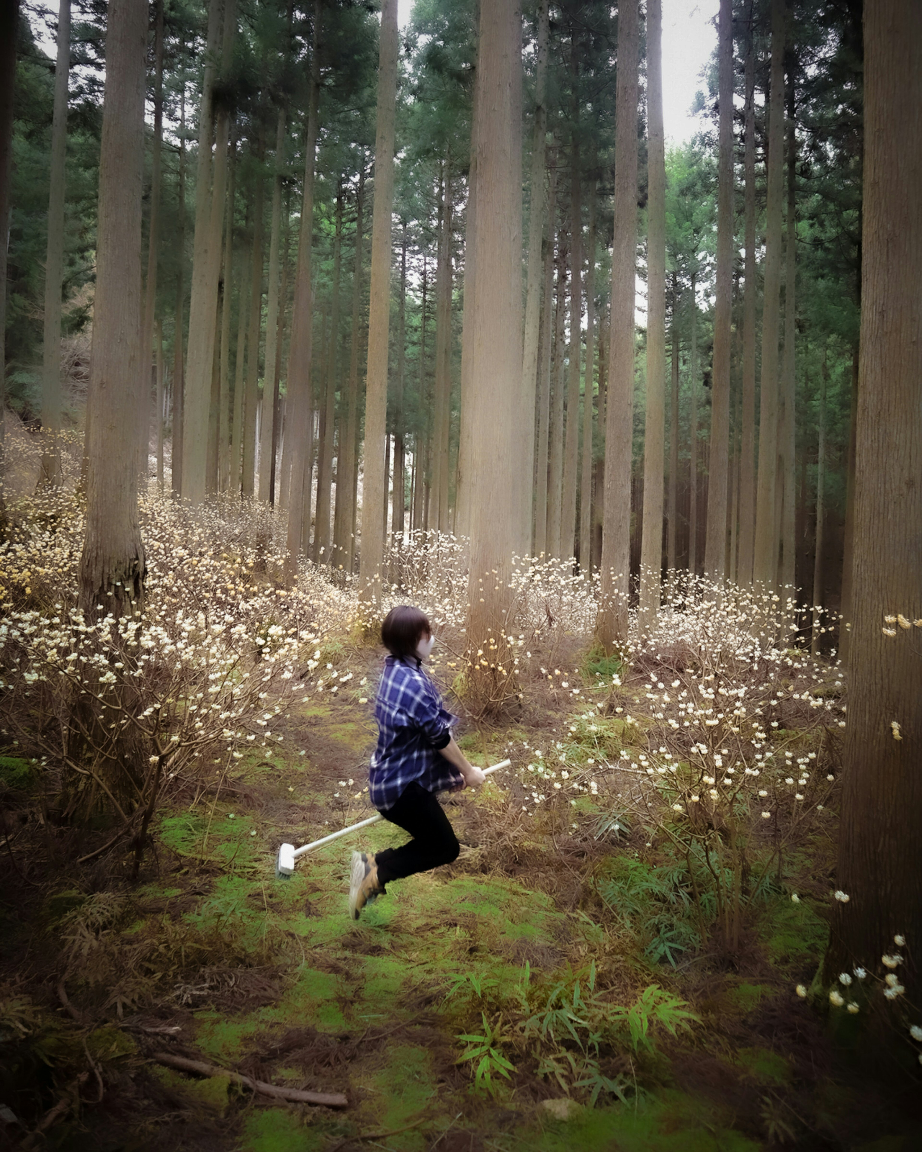 Una persona che corre in una foresta con alberi alti e fiori bianchi sullo sfondo