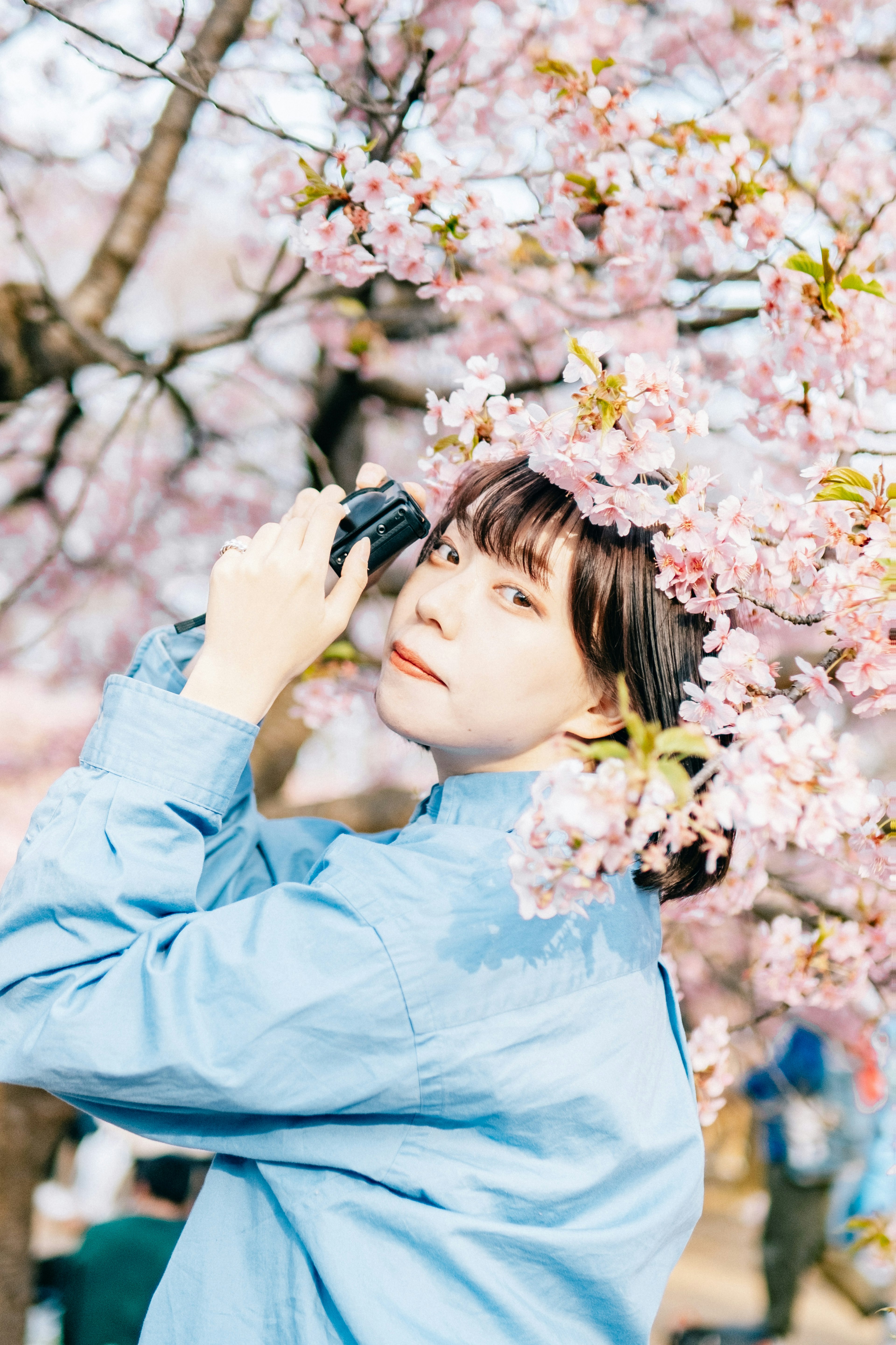 Mujer sosteniendo una cámara rodeada de flores de cerezo