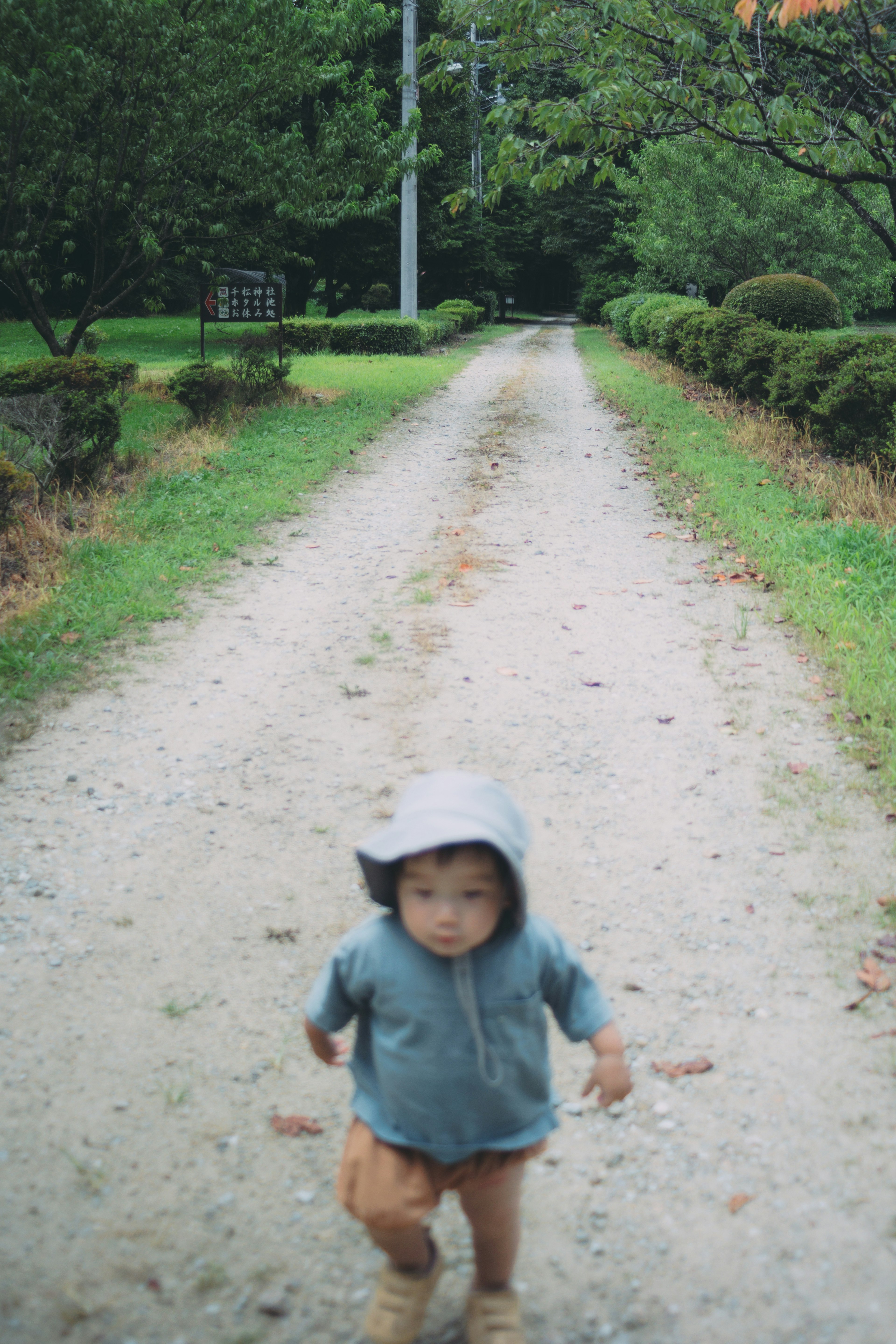 小道を走る子供の姿青いフード付きパーカーを着ている緑の木々に囲まれた風景