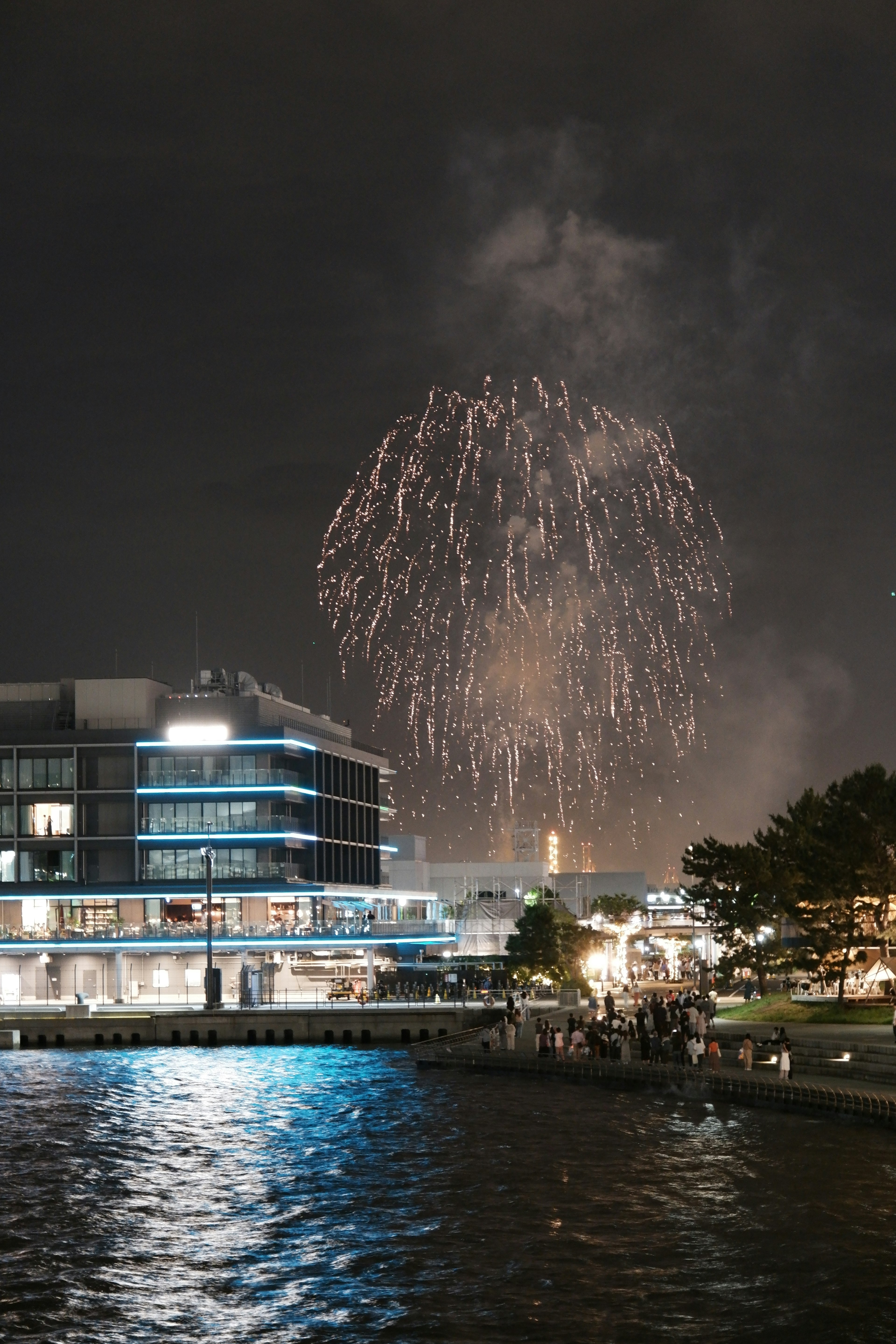 Scène nocturne avec des feux d'artifice éclatant dans le ciel Éclats colorés illuminant le fond sombre avec un bâtiment moderne et des reflets sur l'eau