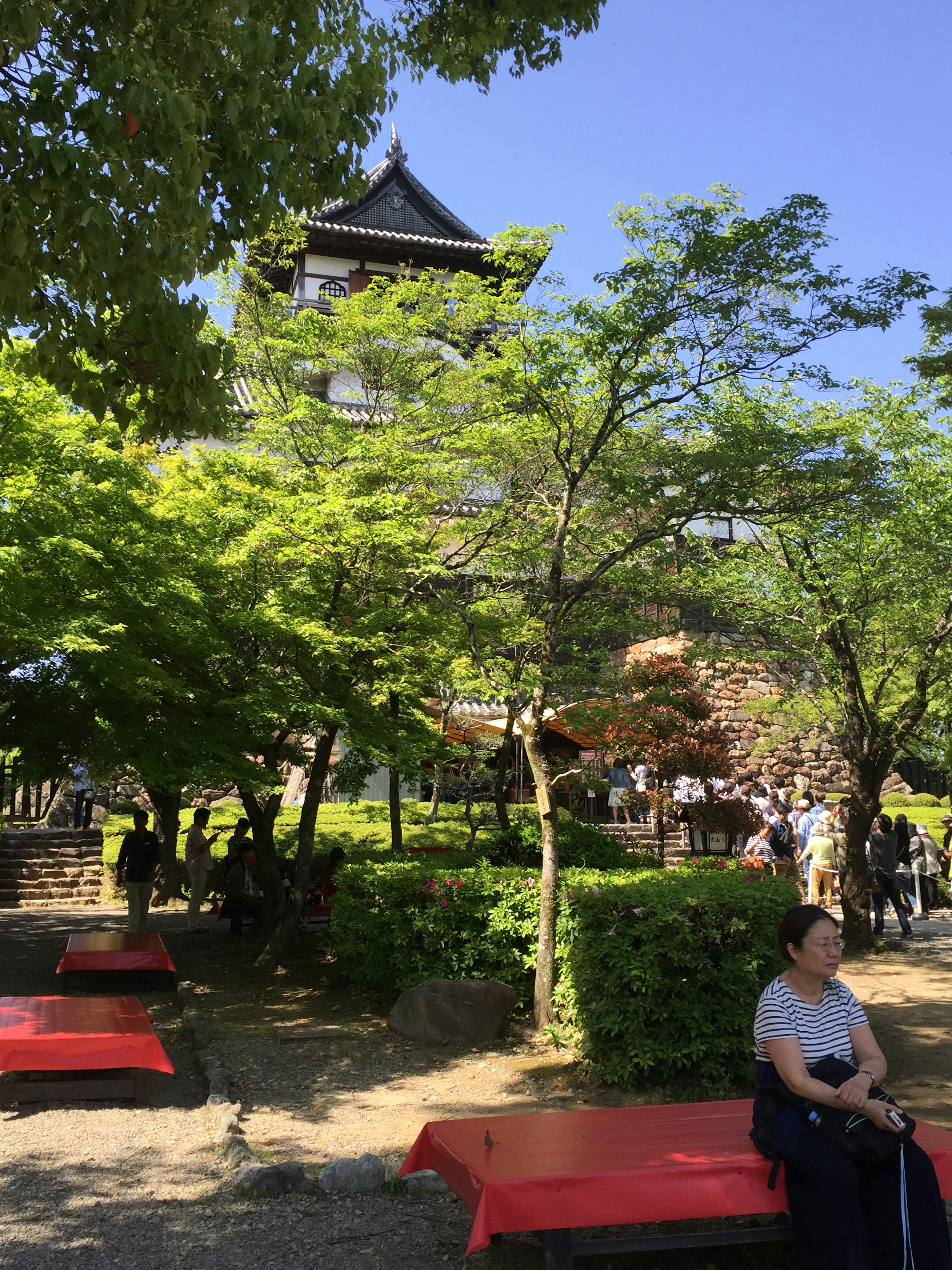 Traditional building surrounded by lush greenery in a park with red benches