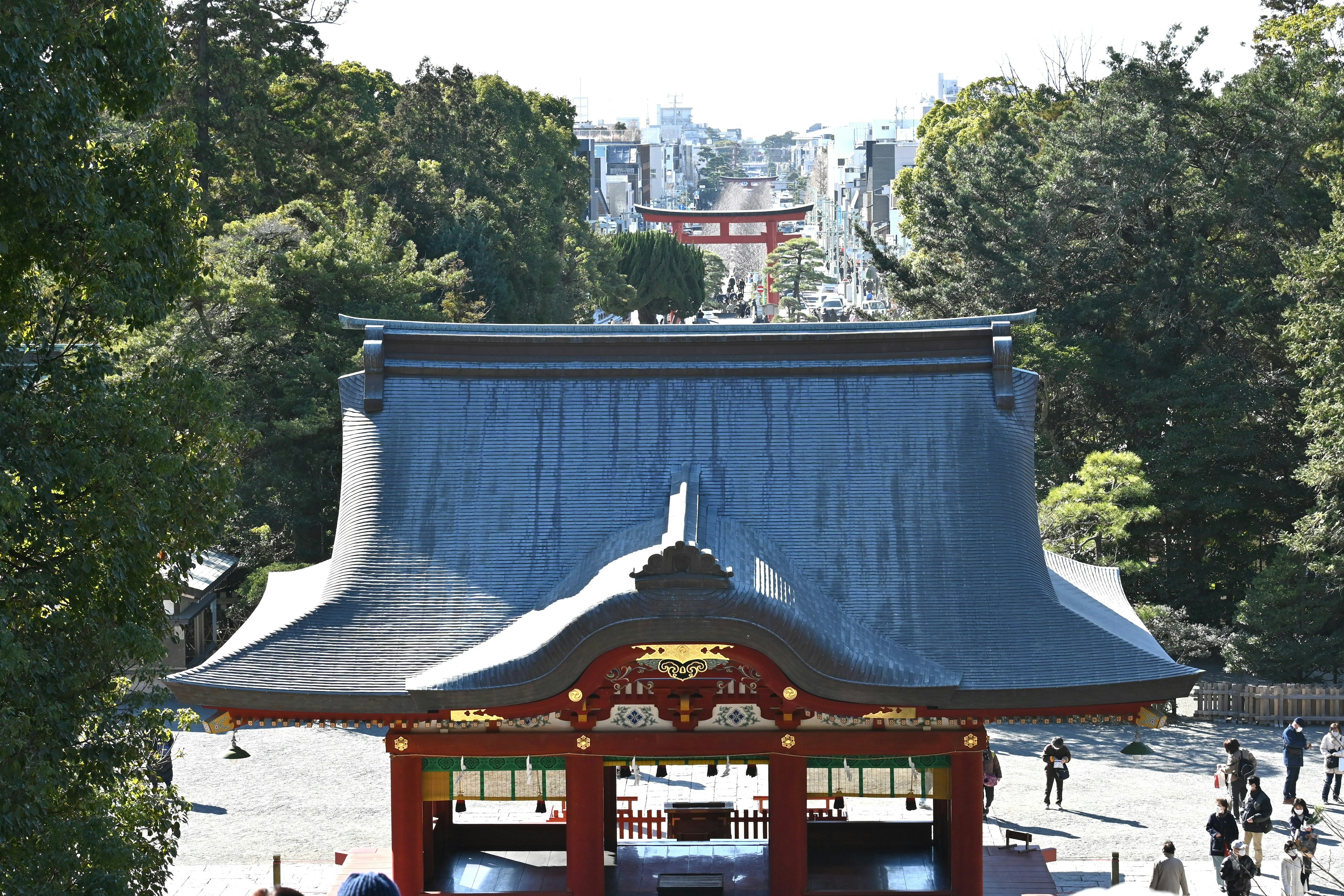 神社的屋顶和背景中的绿色树木