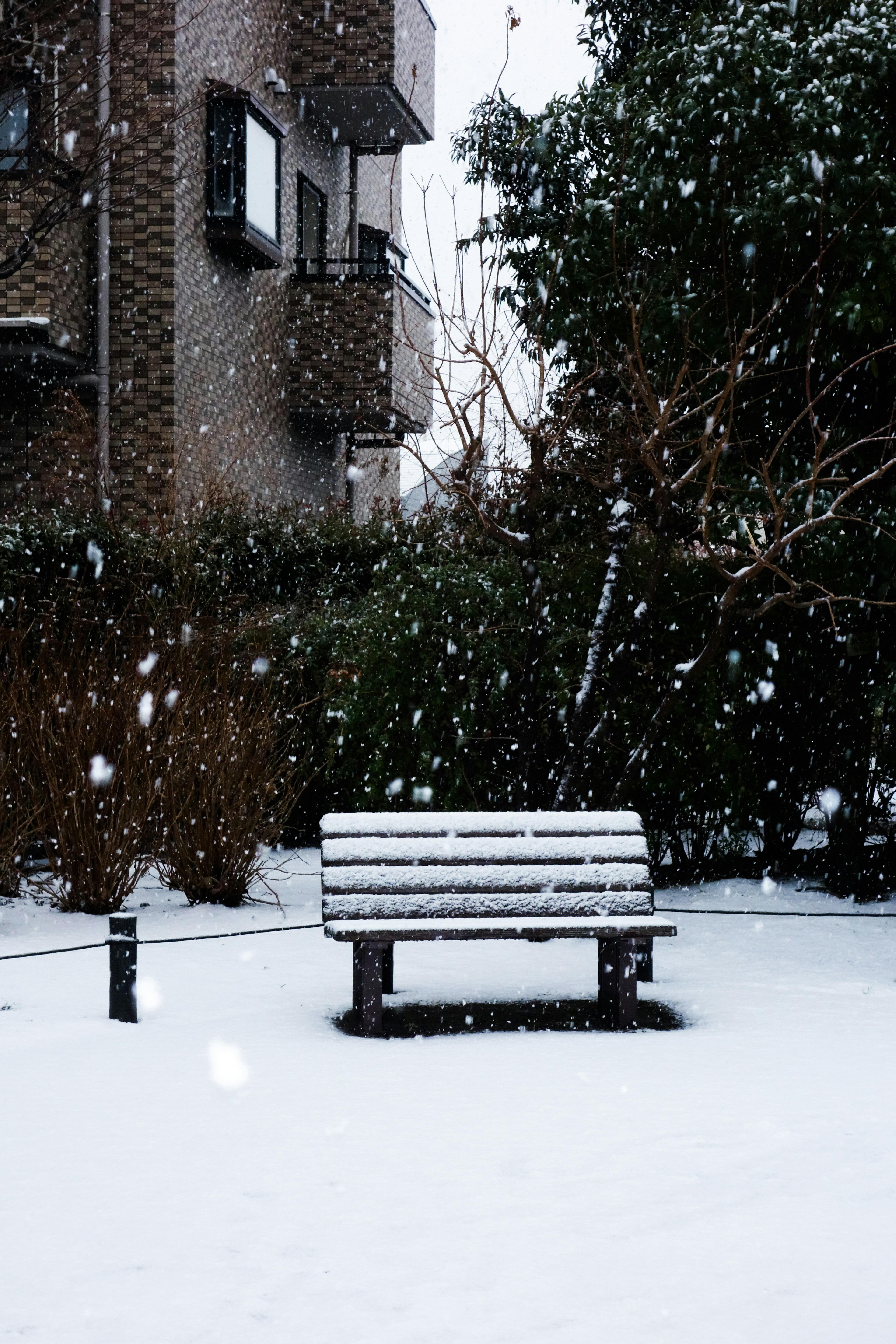 Eine mit Schnee bedeckte Bank mit fallenden Schneeflocken und umliegendem Grün