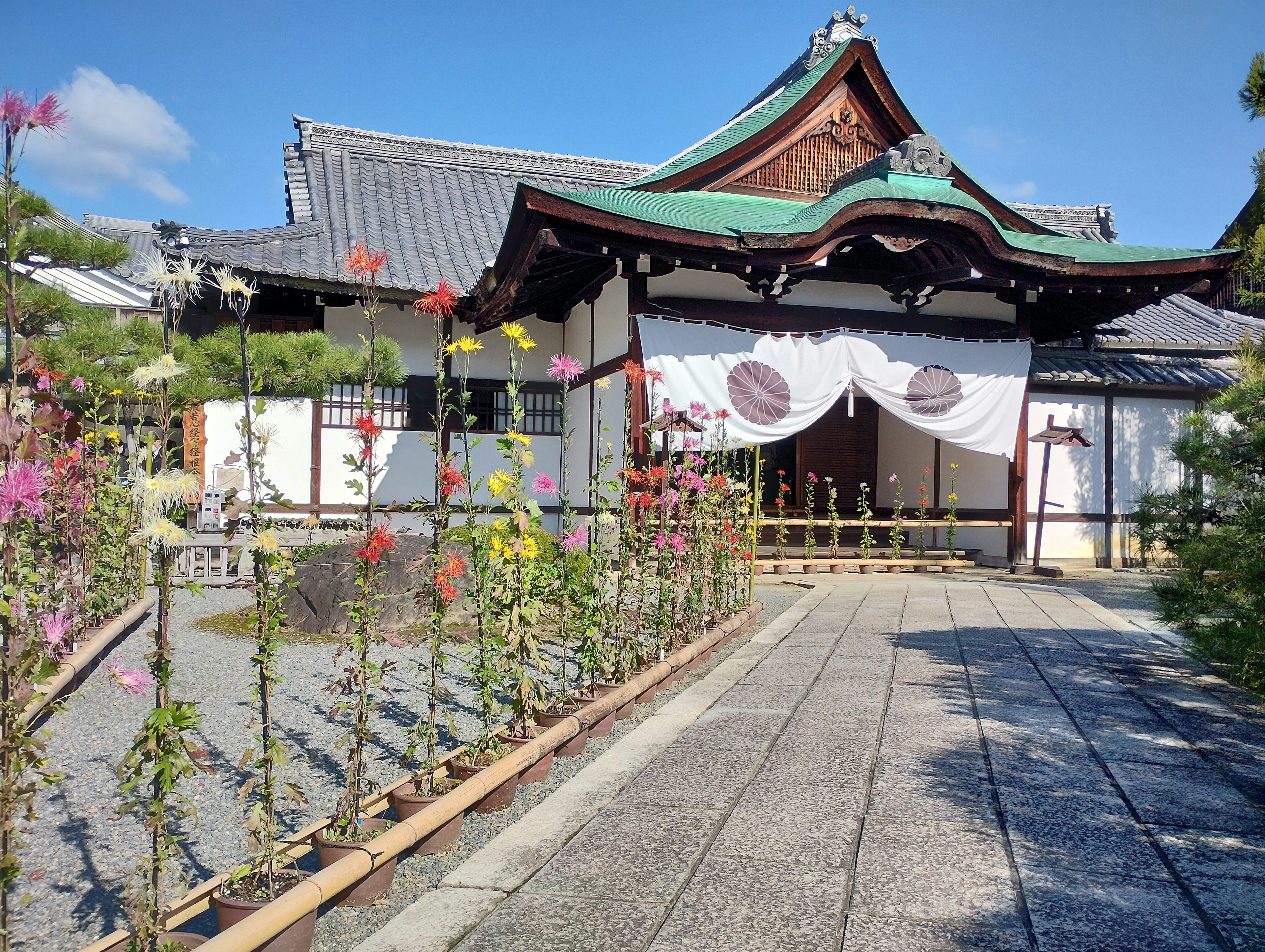 傳統日本寺廟外觀，綠色屋頂和白色窗簾，周圍盛開著花朵