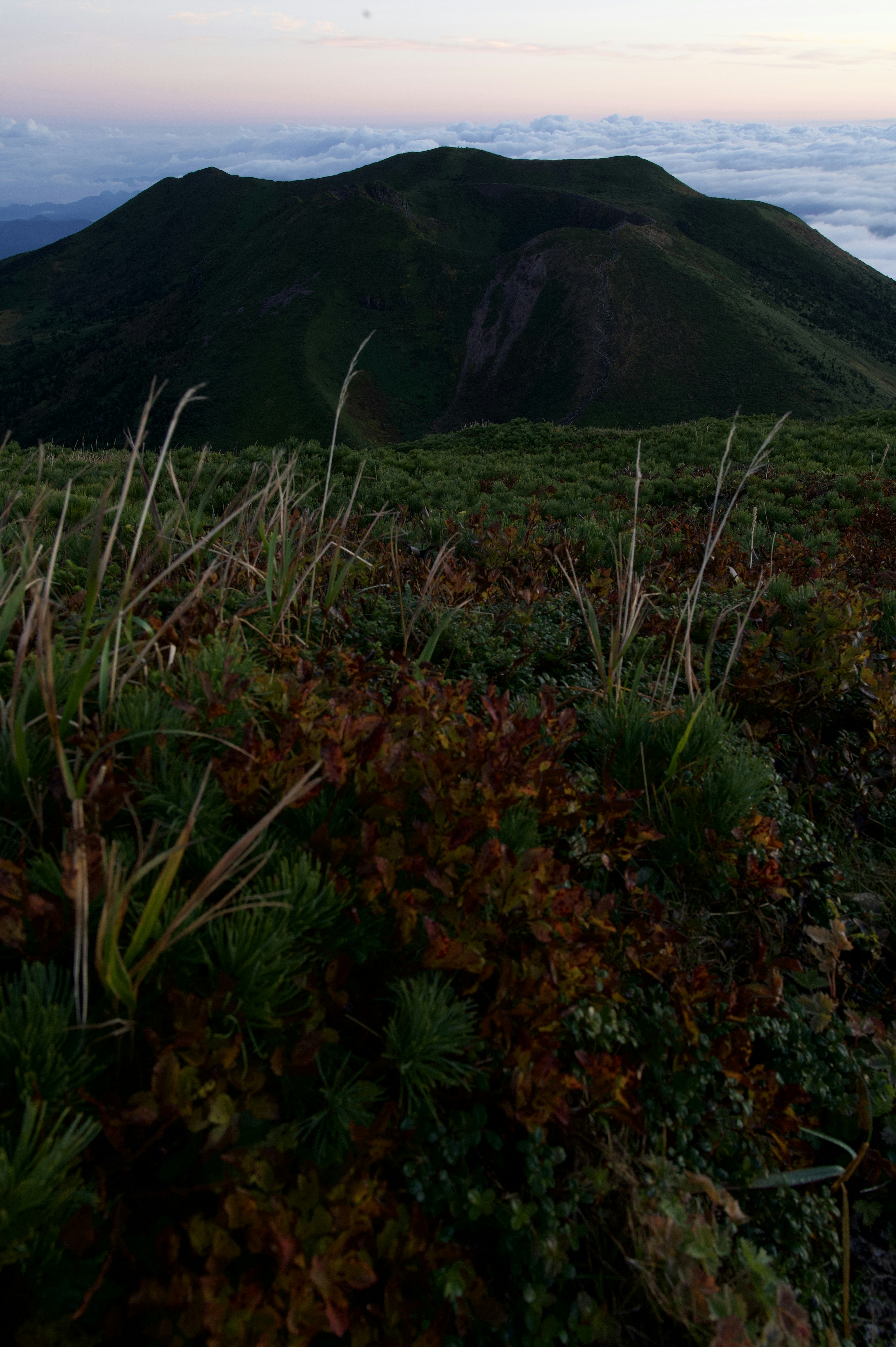 緑豊かな山と植物の風景で、夕暮れの空が広がる