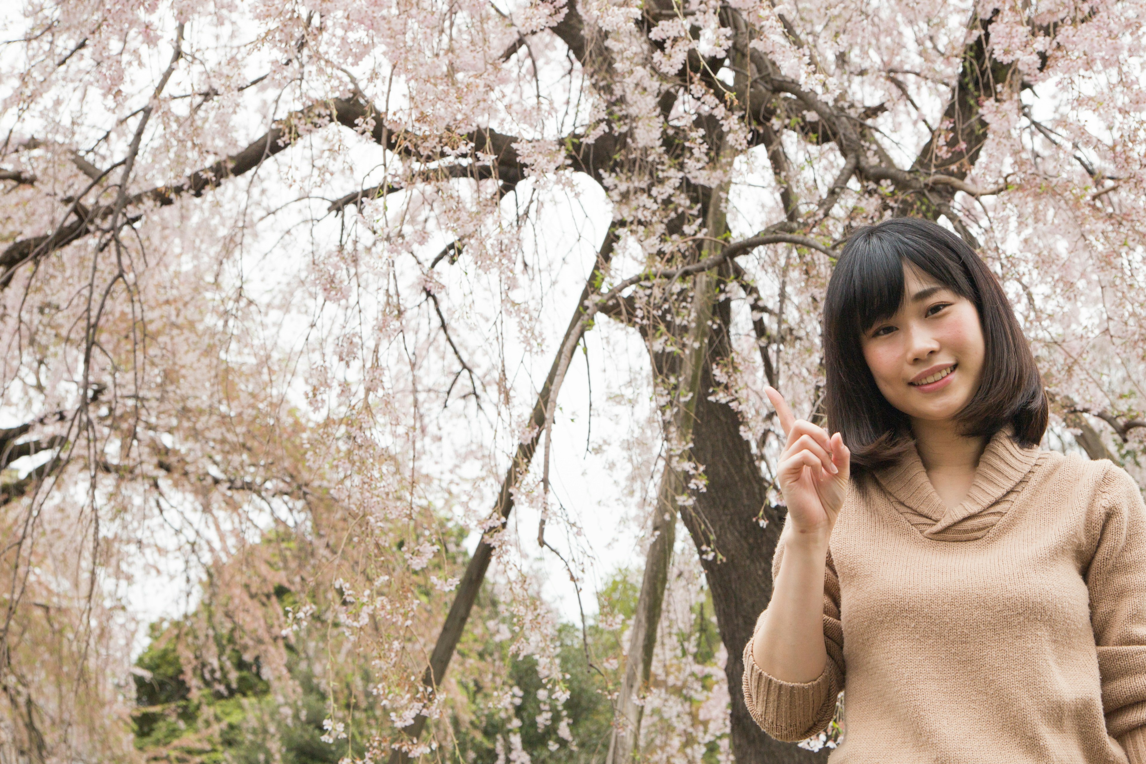 Una donna sorridente davanti a un albero di ciliegio in fiore