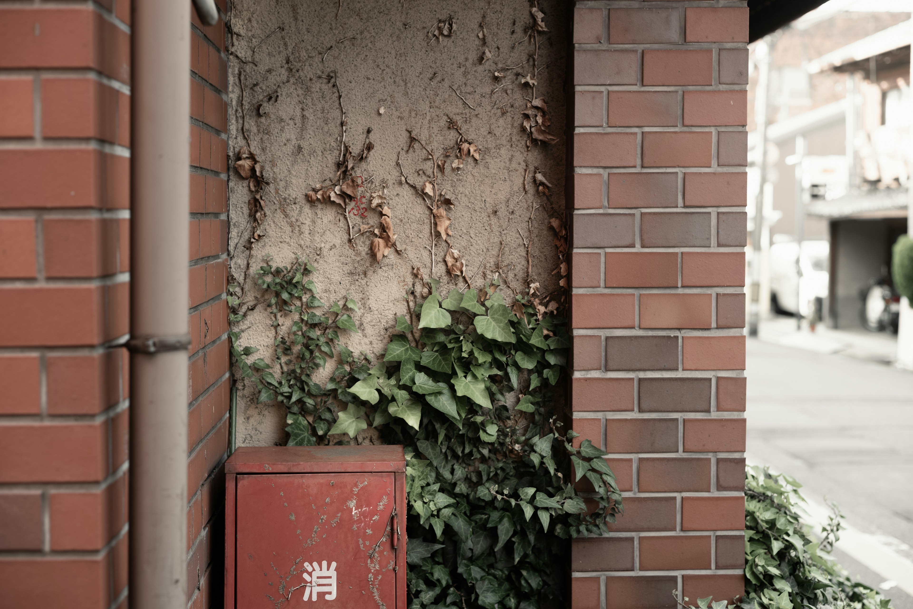 Boîte aux lettres rouge contre un mur en briques avec des plantes grimpantes vertes