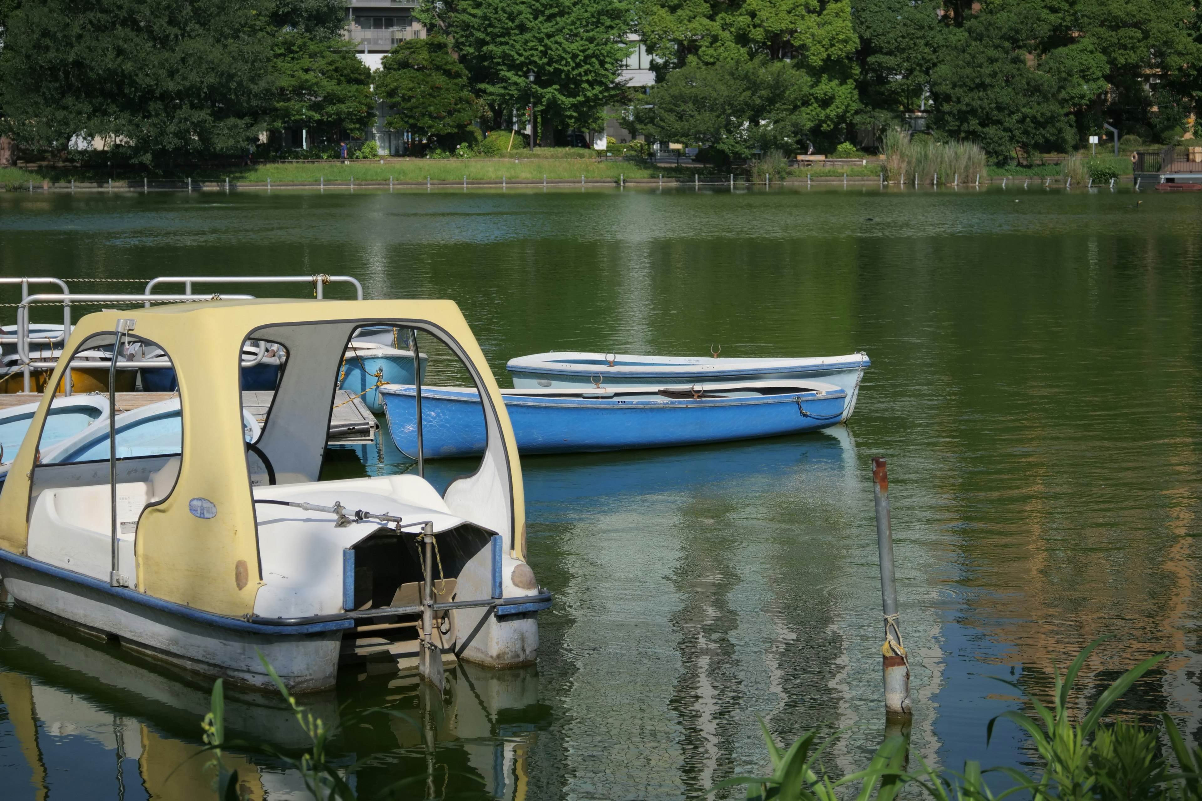 宁静湖面上漂浮的黄色脚踏船和蓝色船的风景