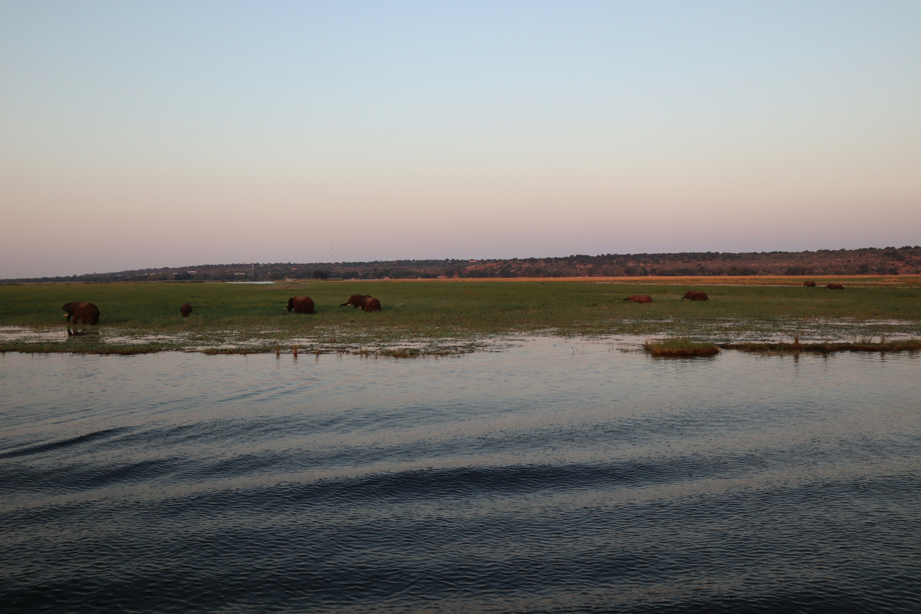 Paysage tranquille avec l'eau reflétant le ciel et une vaste prairie