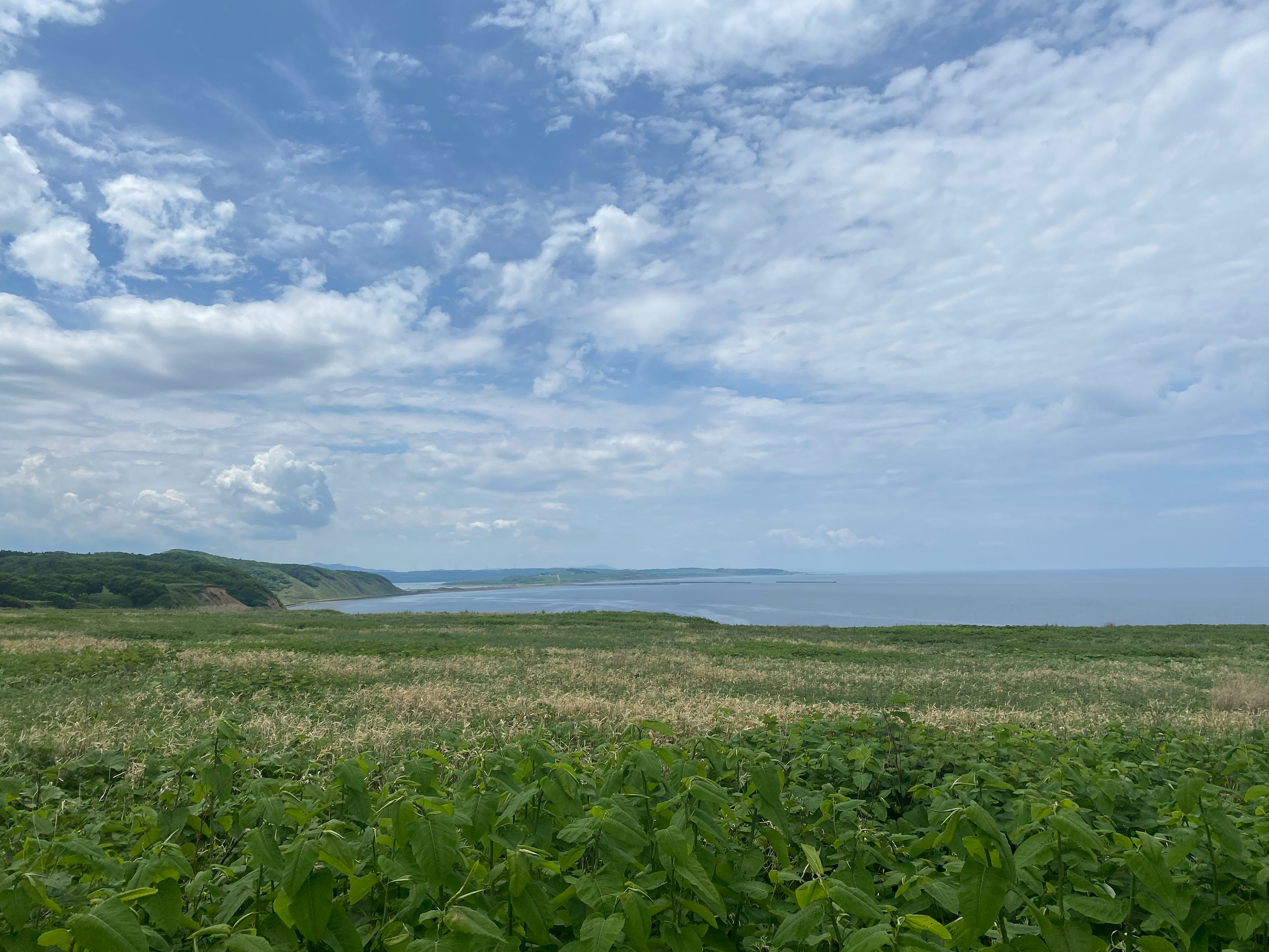 Malersicher Blick auf den blauen Ozean und den weiten Himmel mit grünem Grasland, das die Küste trifft