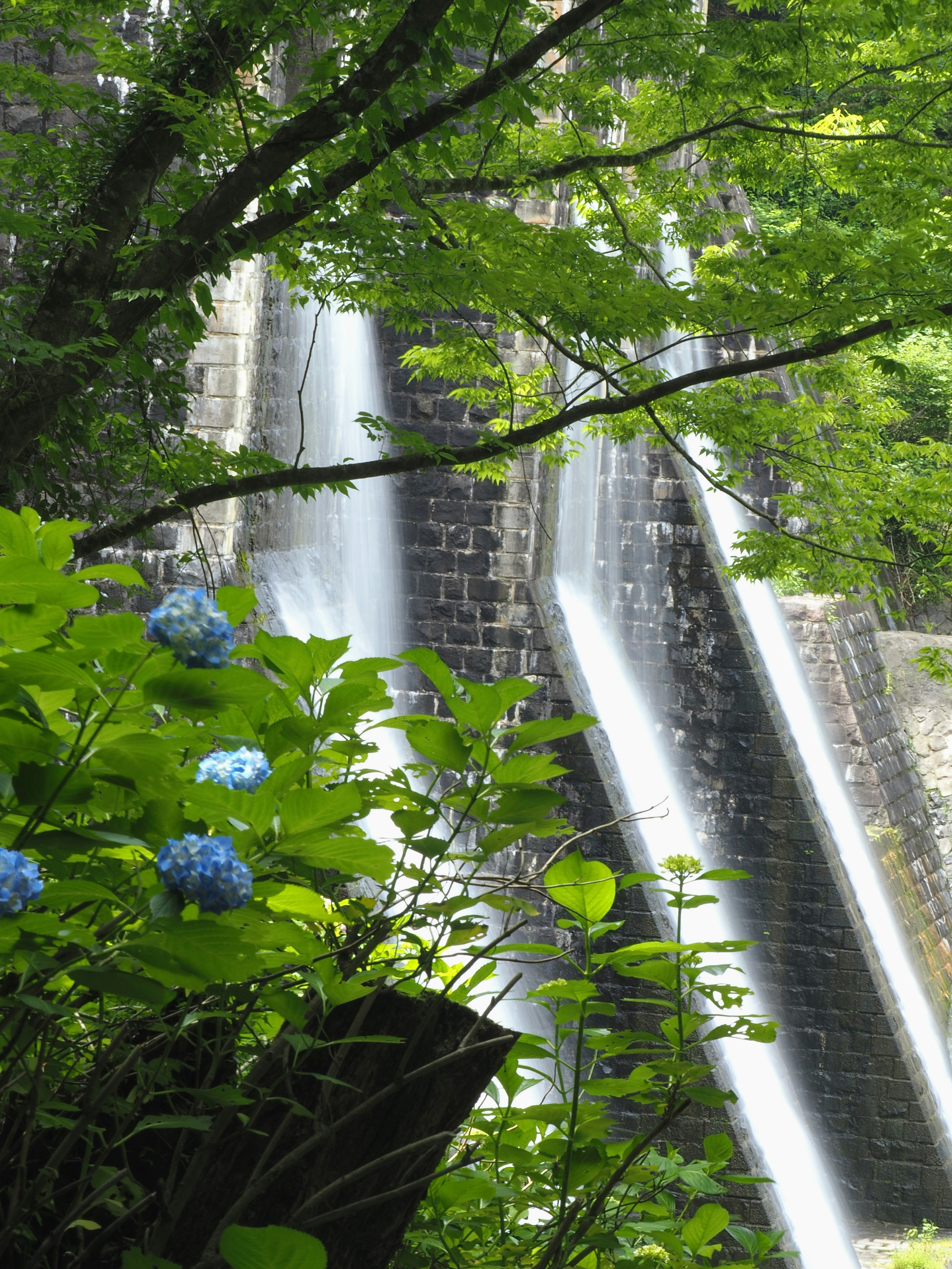 Hermoso paisaje con flores azules y cascadas rodeadas de árboles verdes