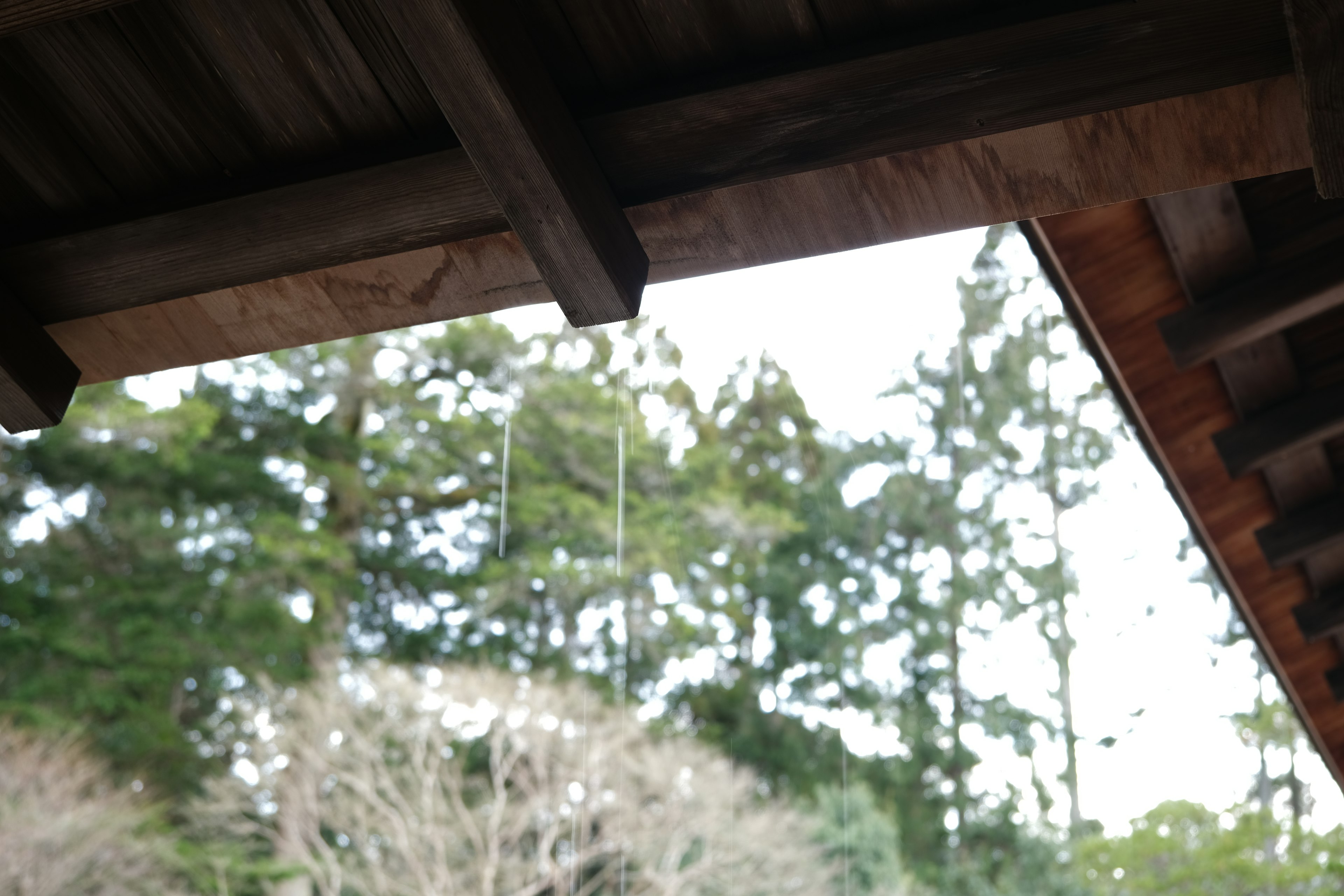 Natural landscape with trees visible under a wooden roof