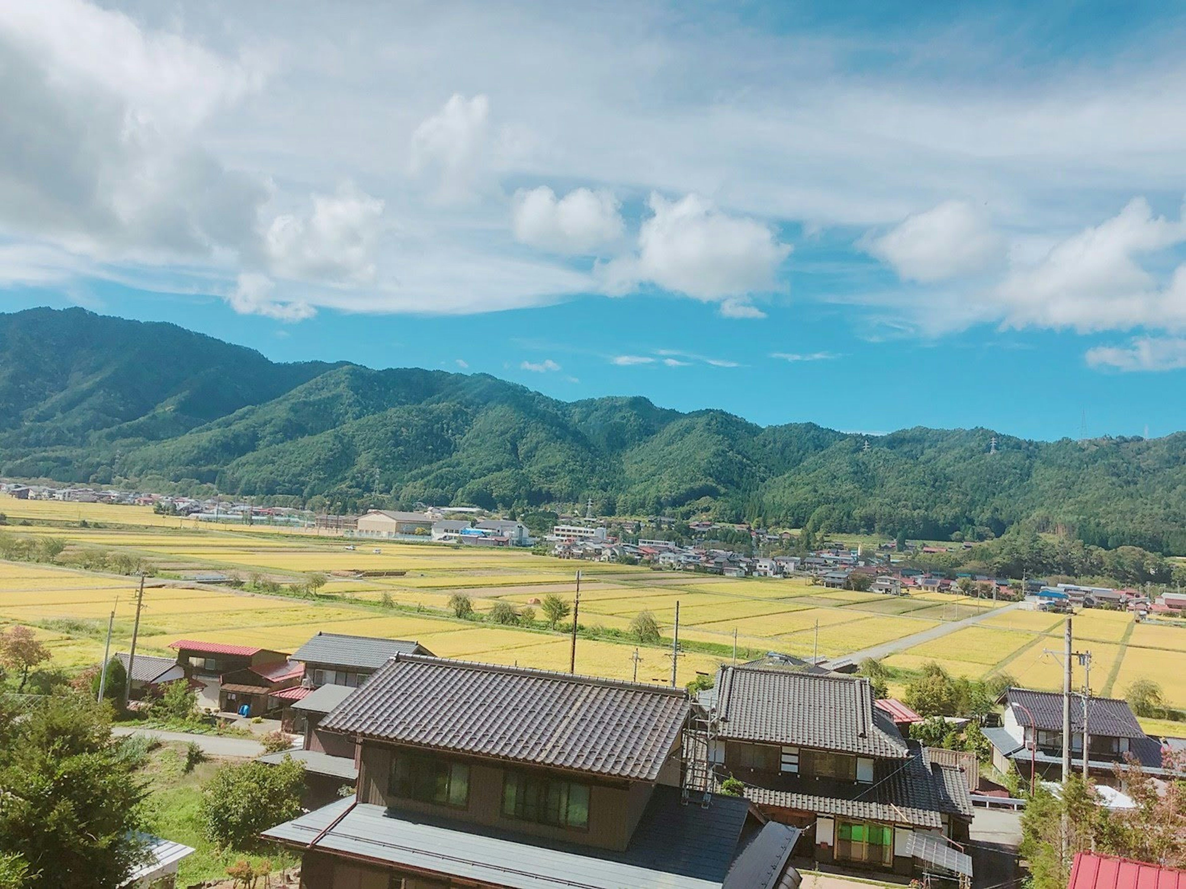 蓝天背景下的绿山和田野的风景