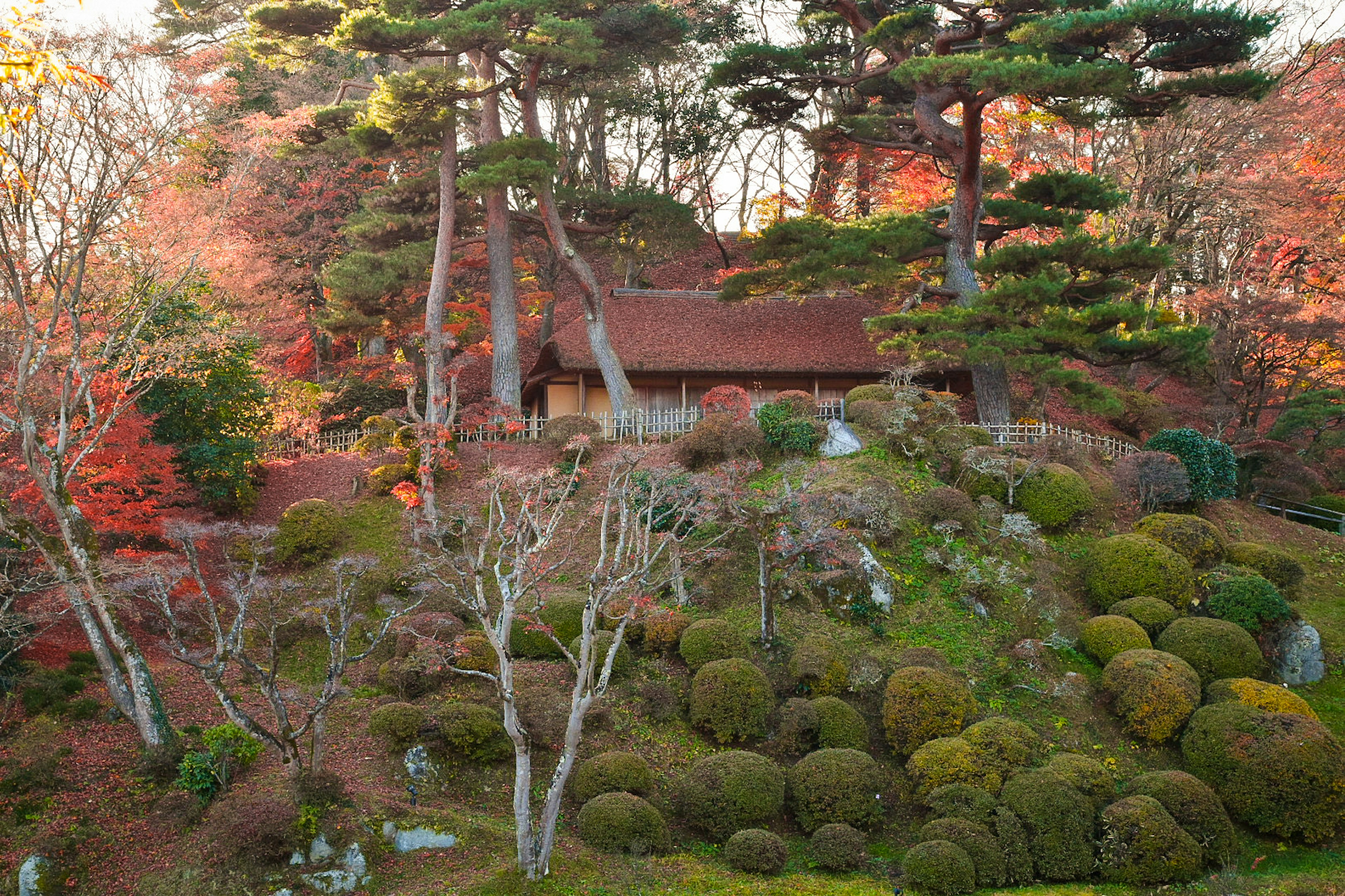 Malerscher japanischer Garten in Herbstfarben mit einem alten Haus und runden, moosbedeckten Pflanzen