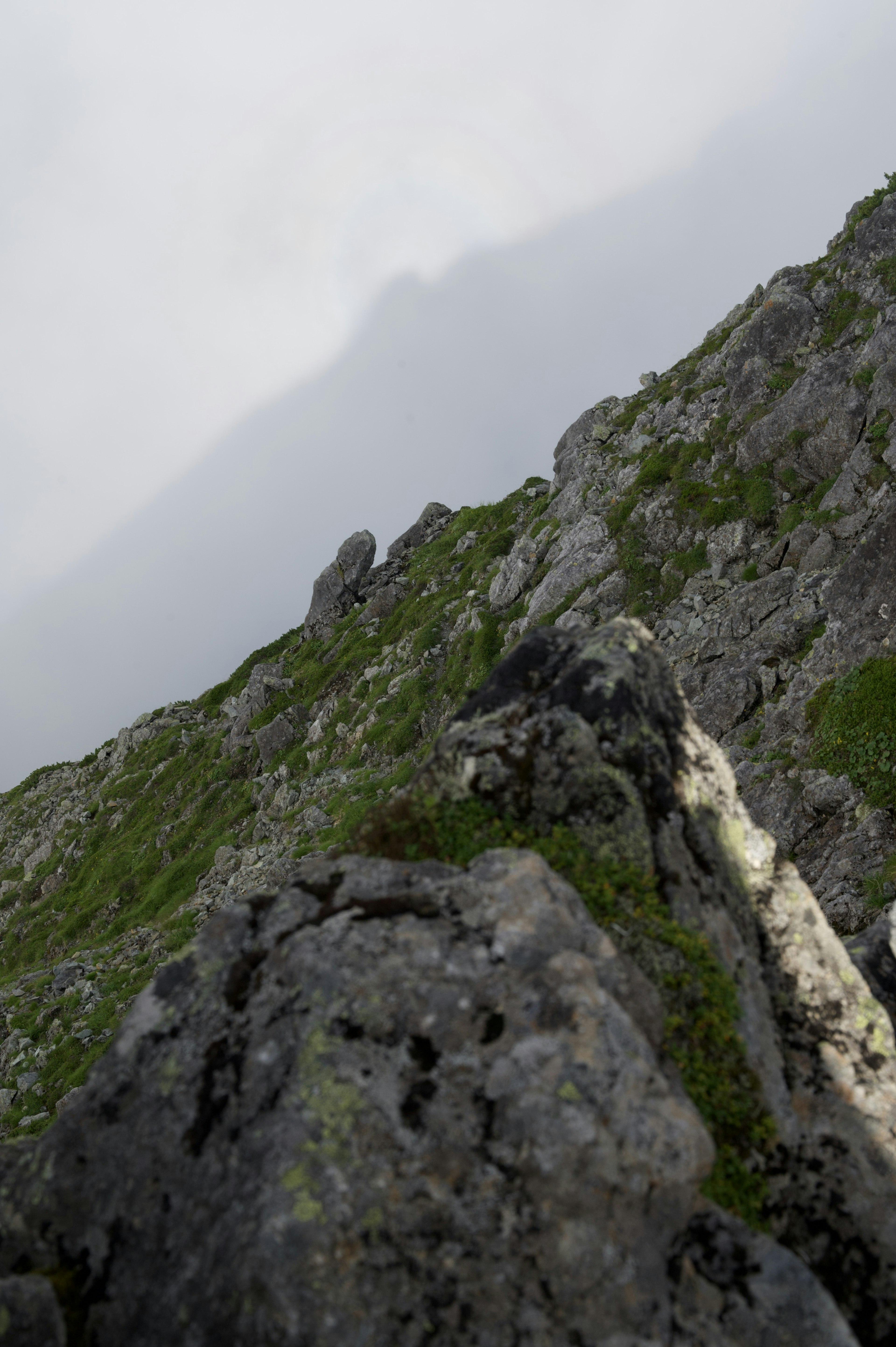 Paisaje de rocas y hierba verde en la niebla