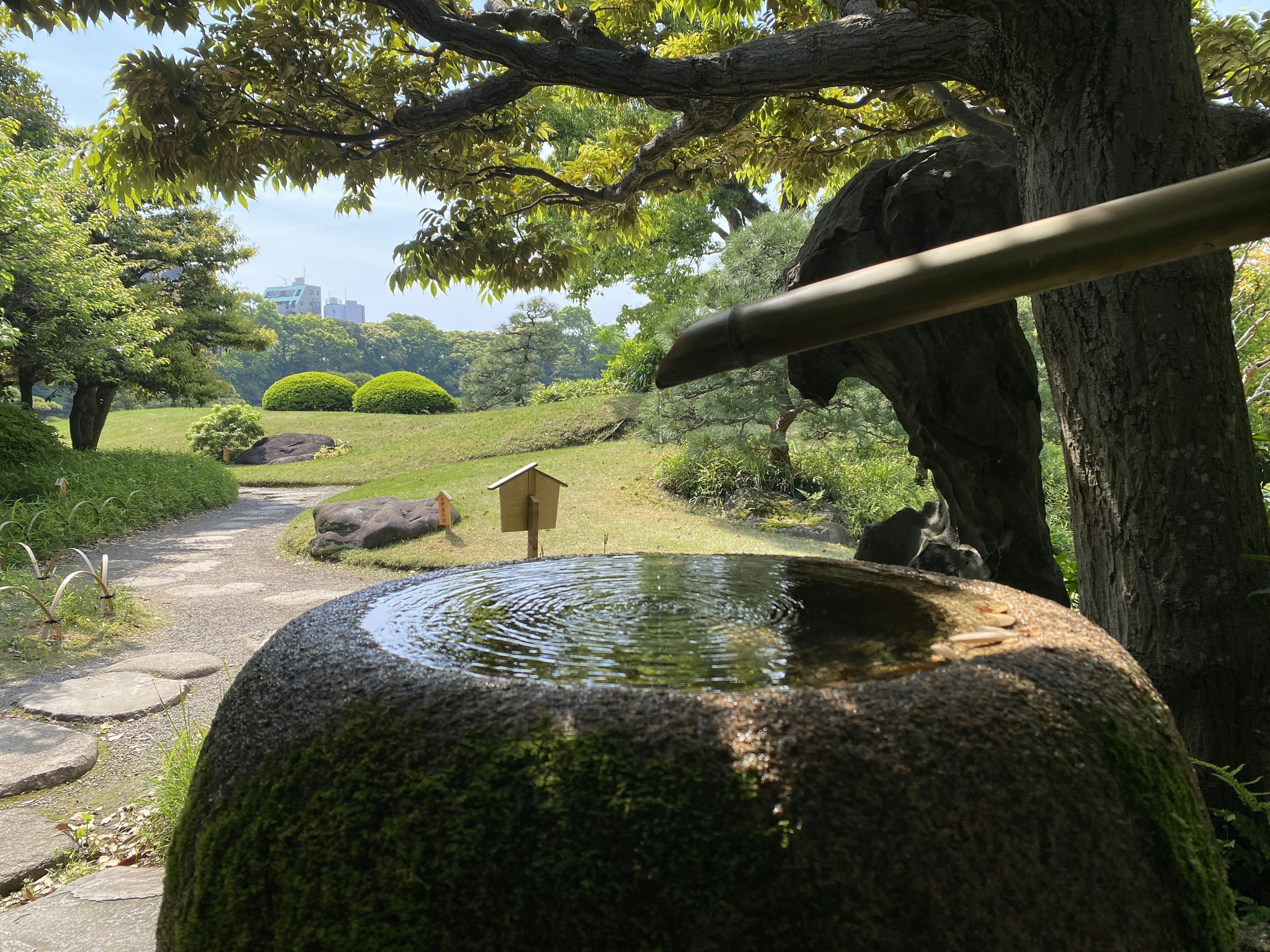 覆盖苔藓的石盆，水从竹口流出，背景是郁郁葱葱的花园