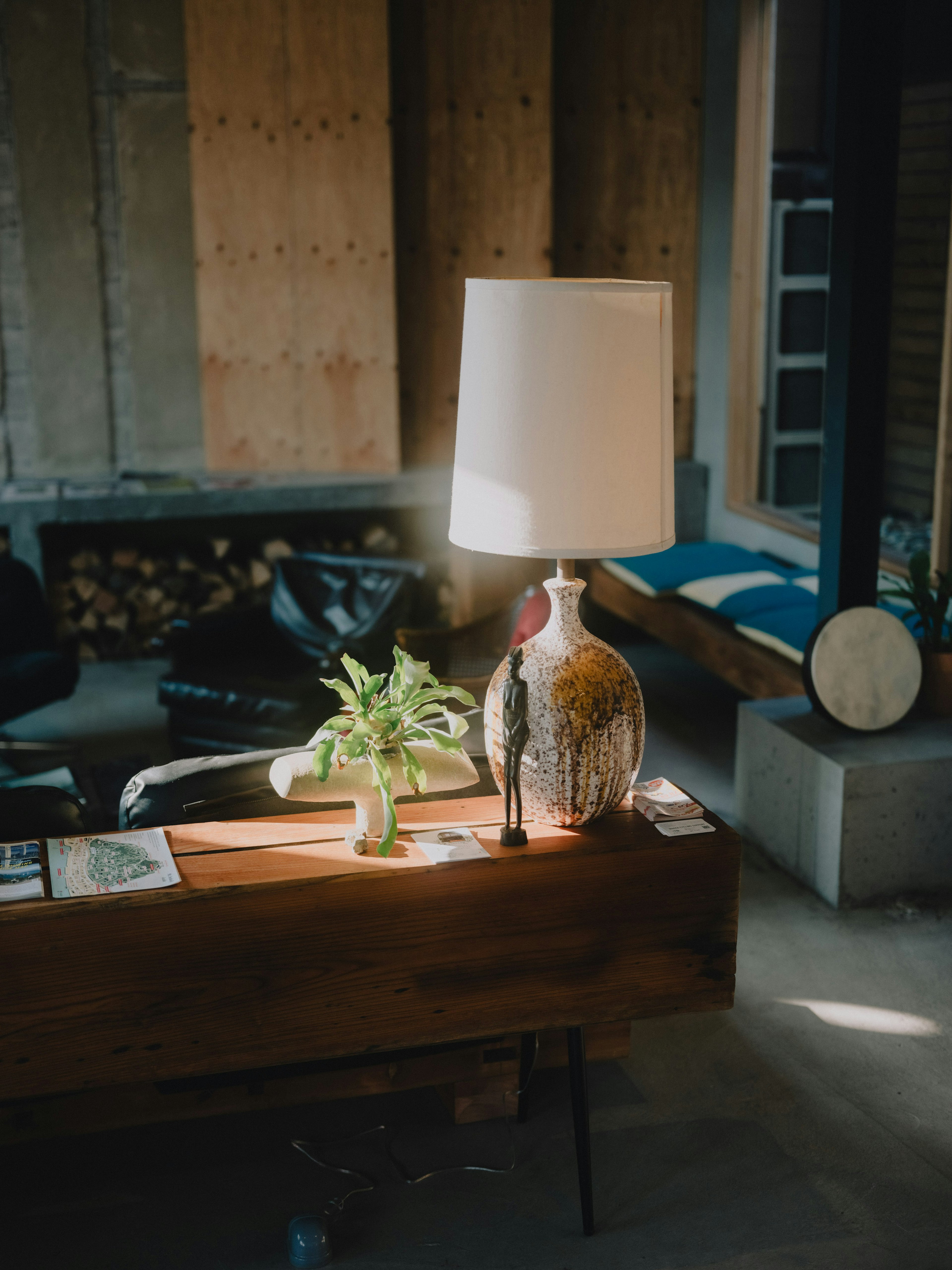 Scene featuring a lamp and a potted plant on a wooden table in a living room