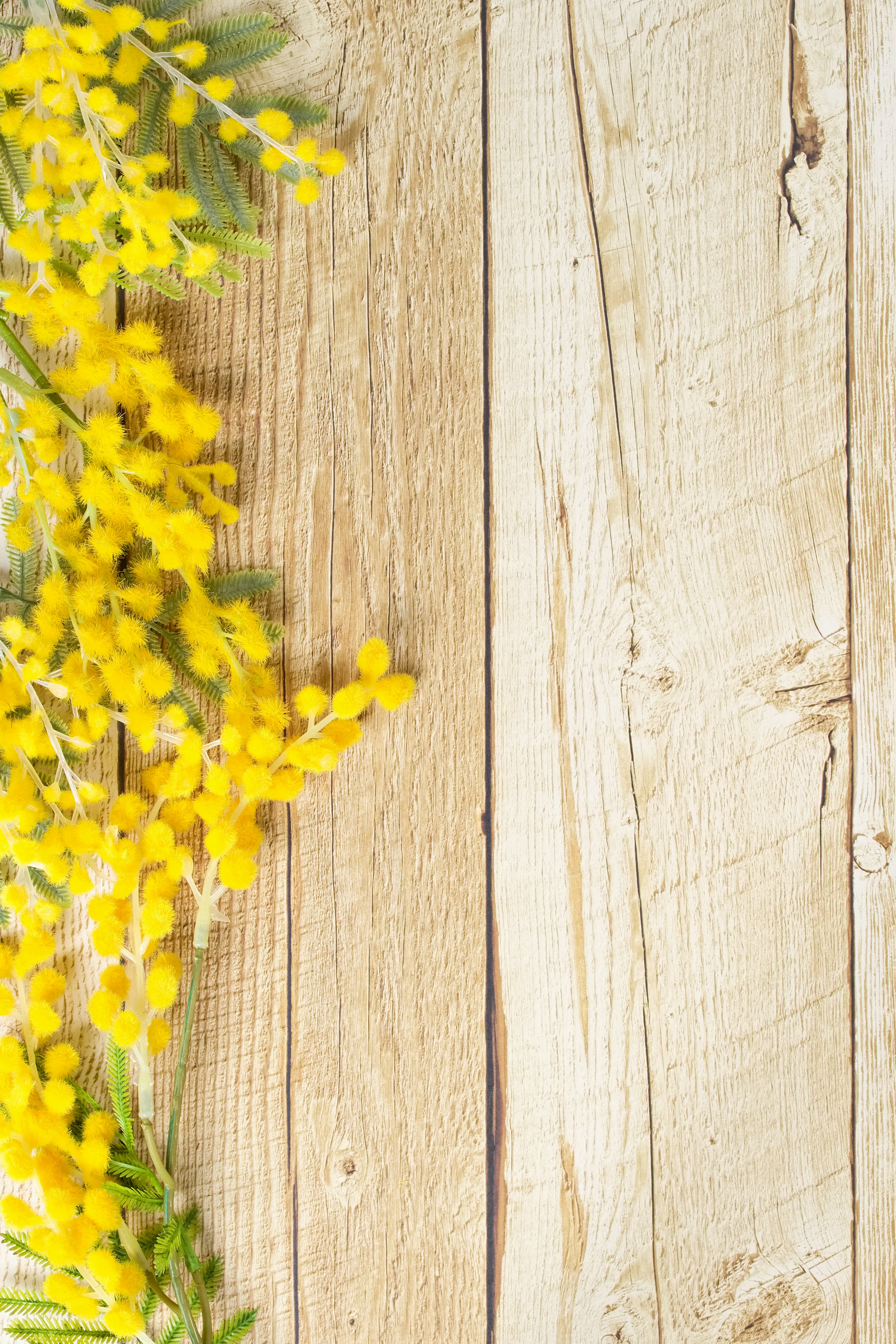 Gelbe Mimosenblüten auf einem Holztischhintergrund