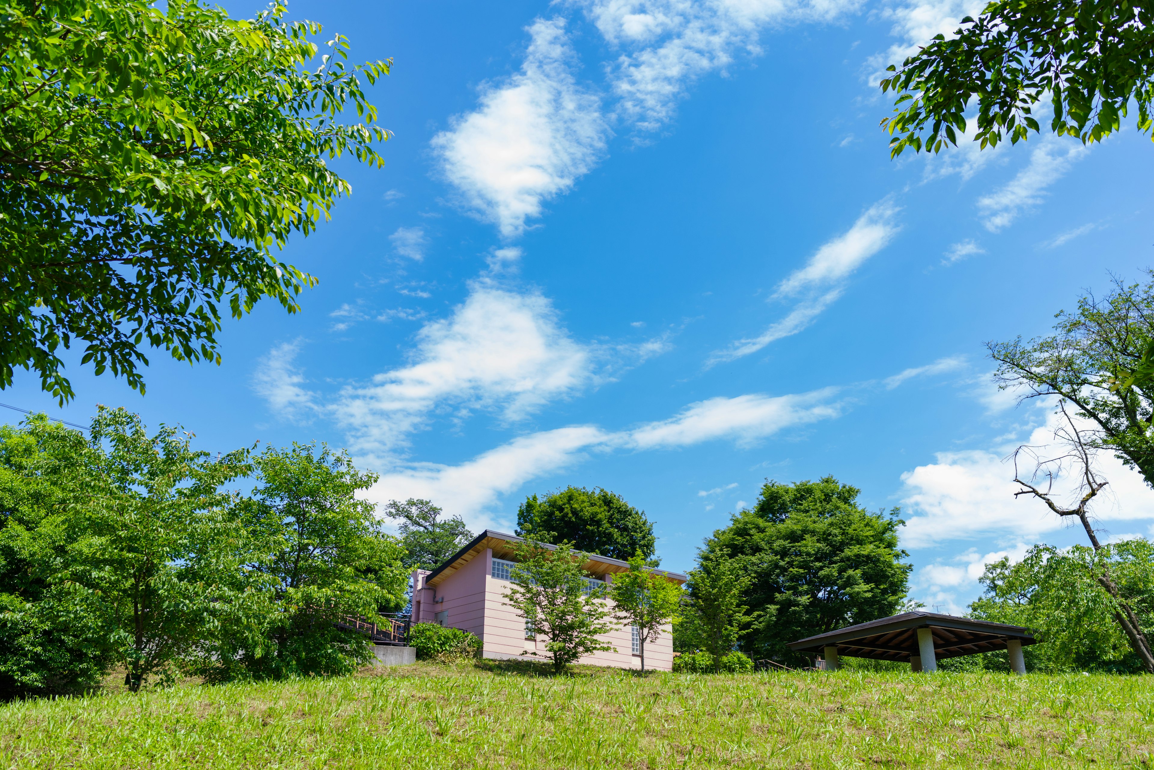 Une maison entourée d'arbres sur un champ herbeux sous un ciel bleu avec des nuages