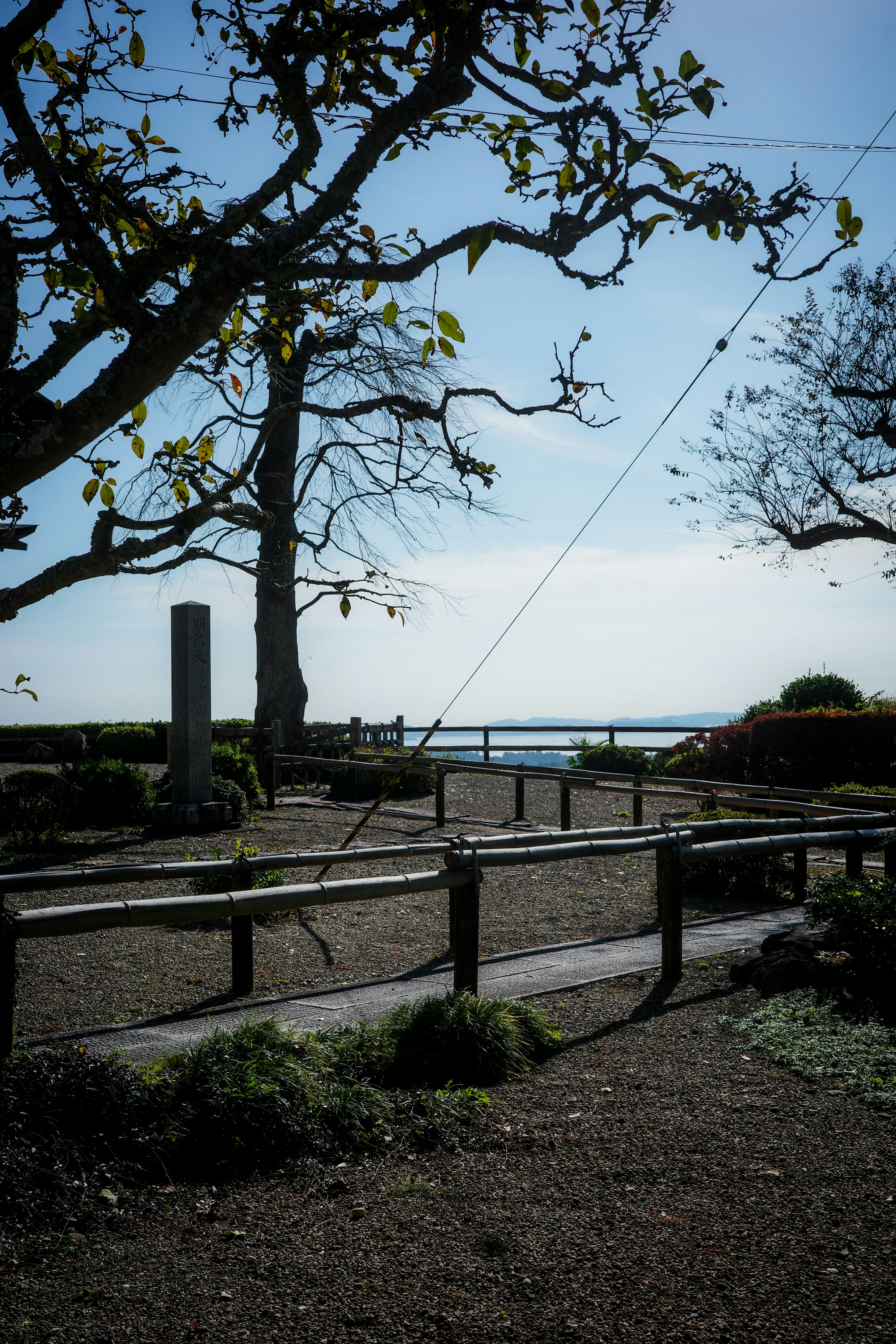 Une vue de jardin sereine sur la mer avec un vieil arbre et une clôture en bois