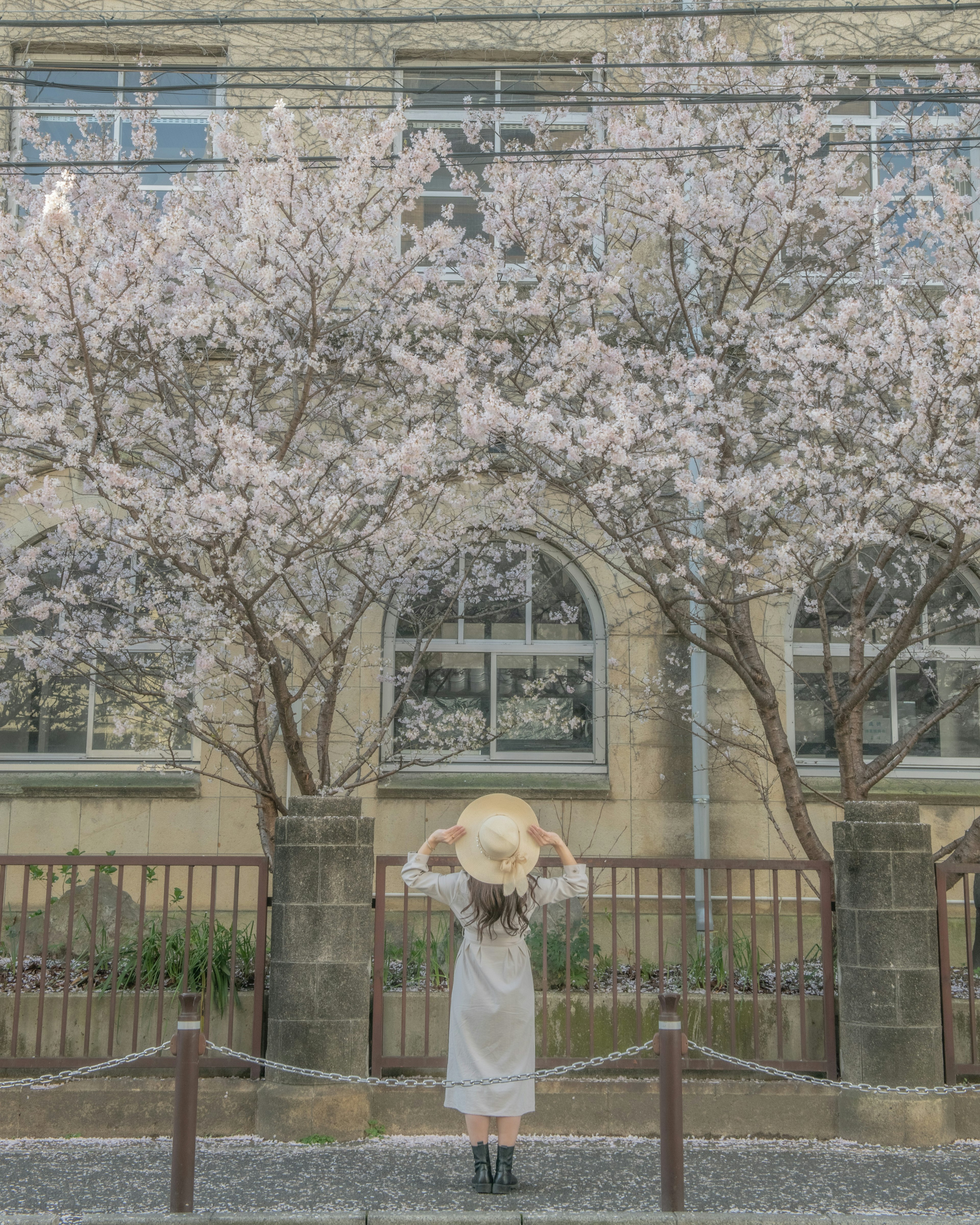 Girl holding a hat in front of cherry blossom trees