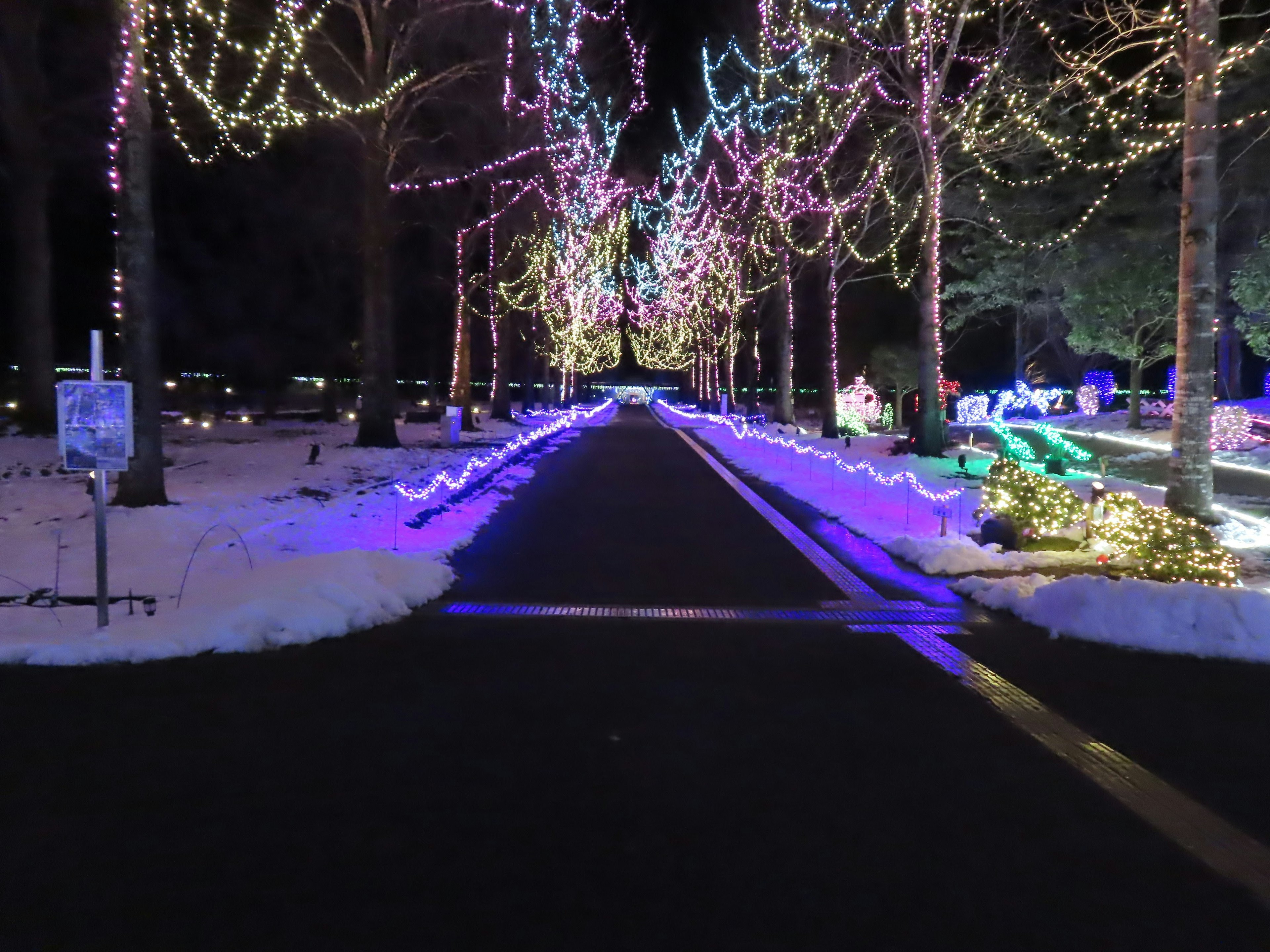 Colorful holiday lights along a snowy path at night