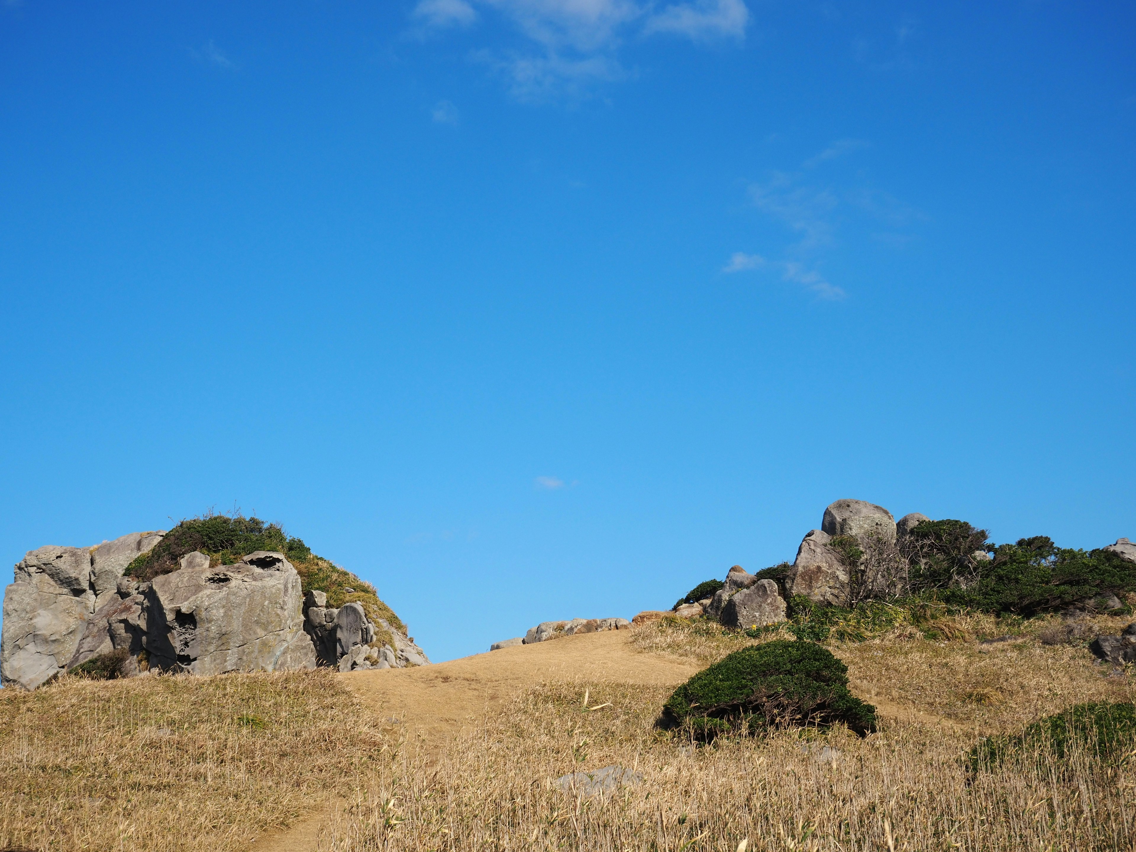 青空の下に広がる草原と岩の風景