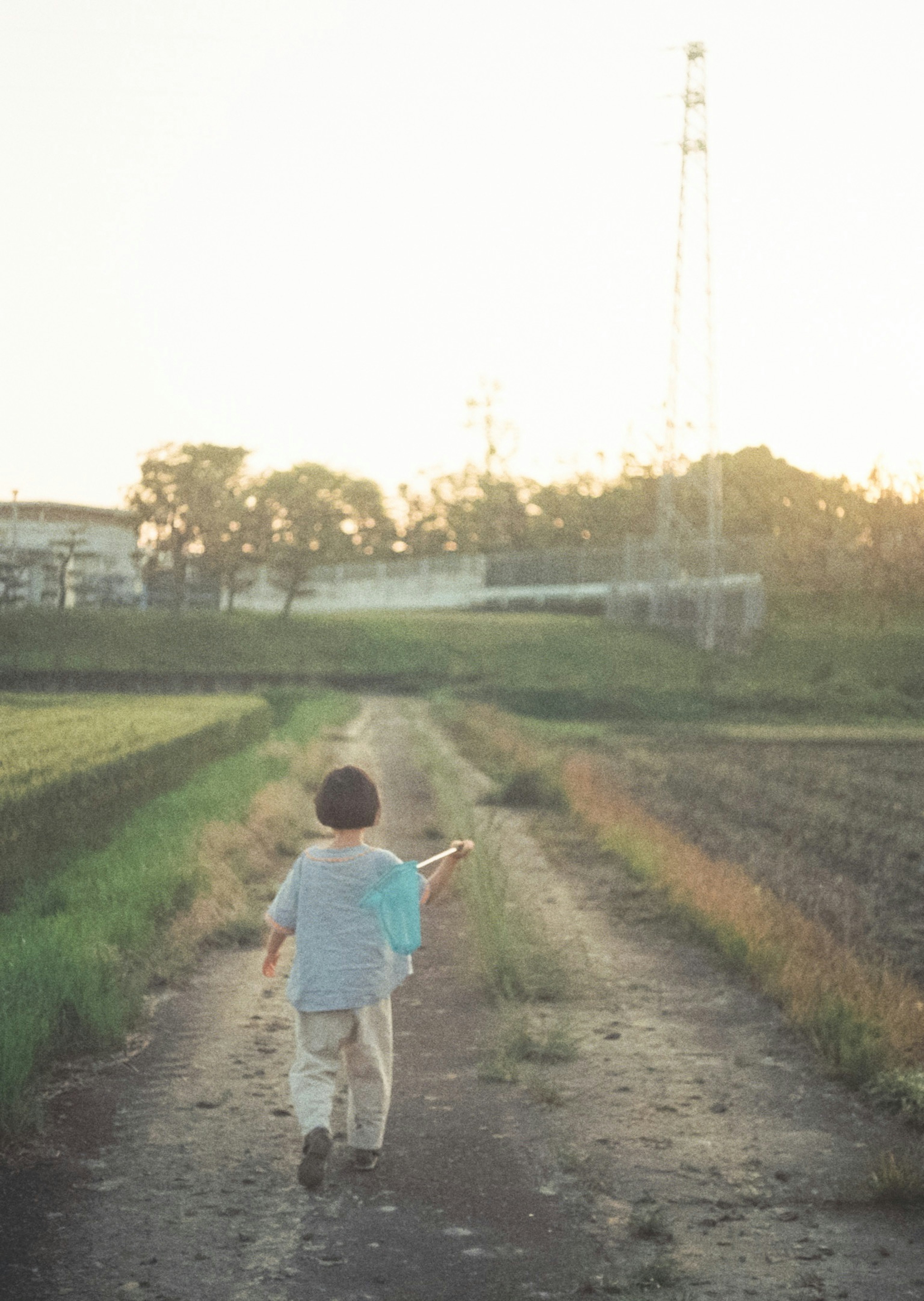 Seorang anak berjalan di sepanjang jalan pedesaan dengan matahari terbenam di latar belakang