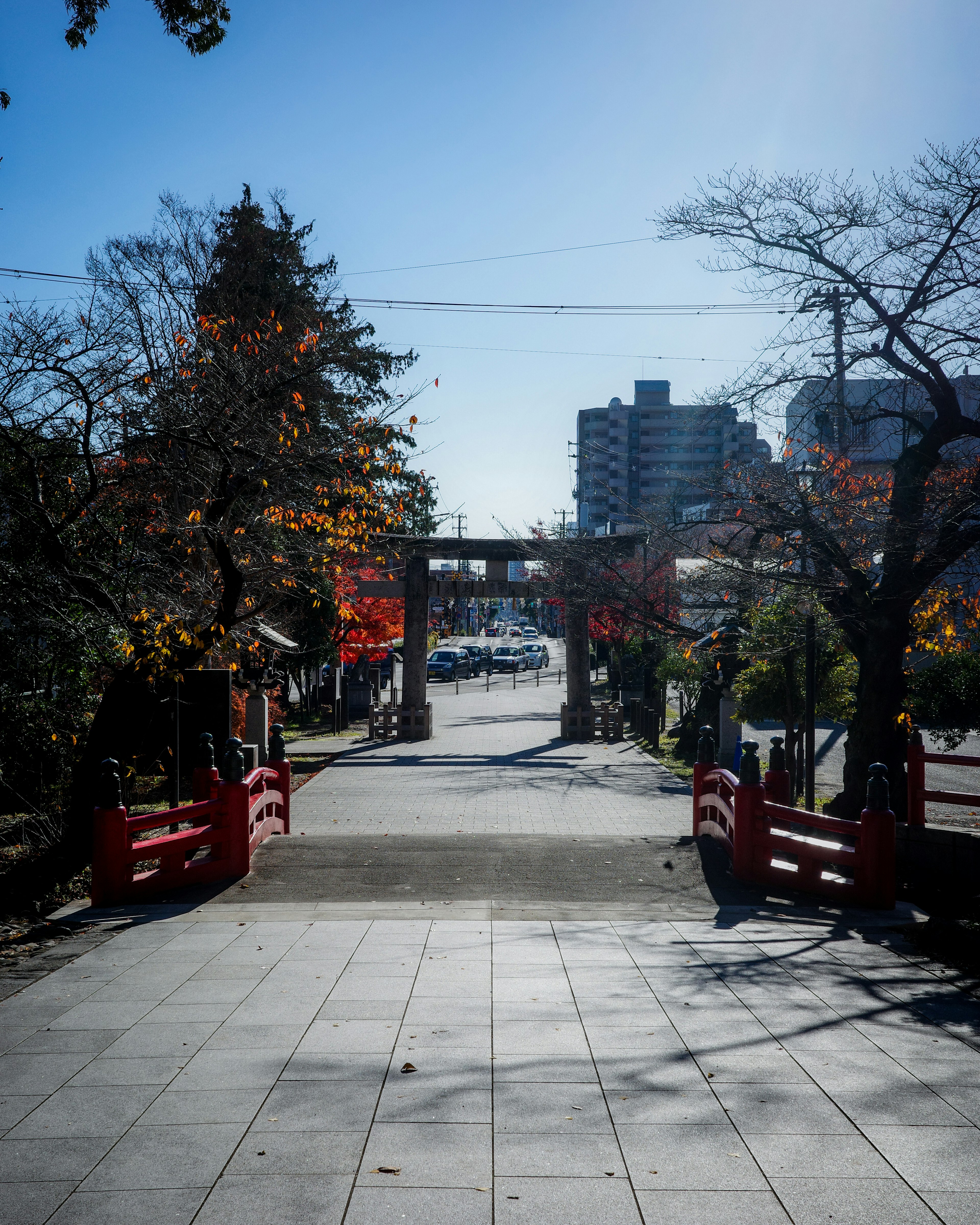 赤い橋とともに秋の紅葉が見える神社の景観