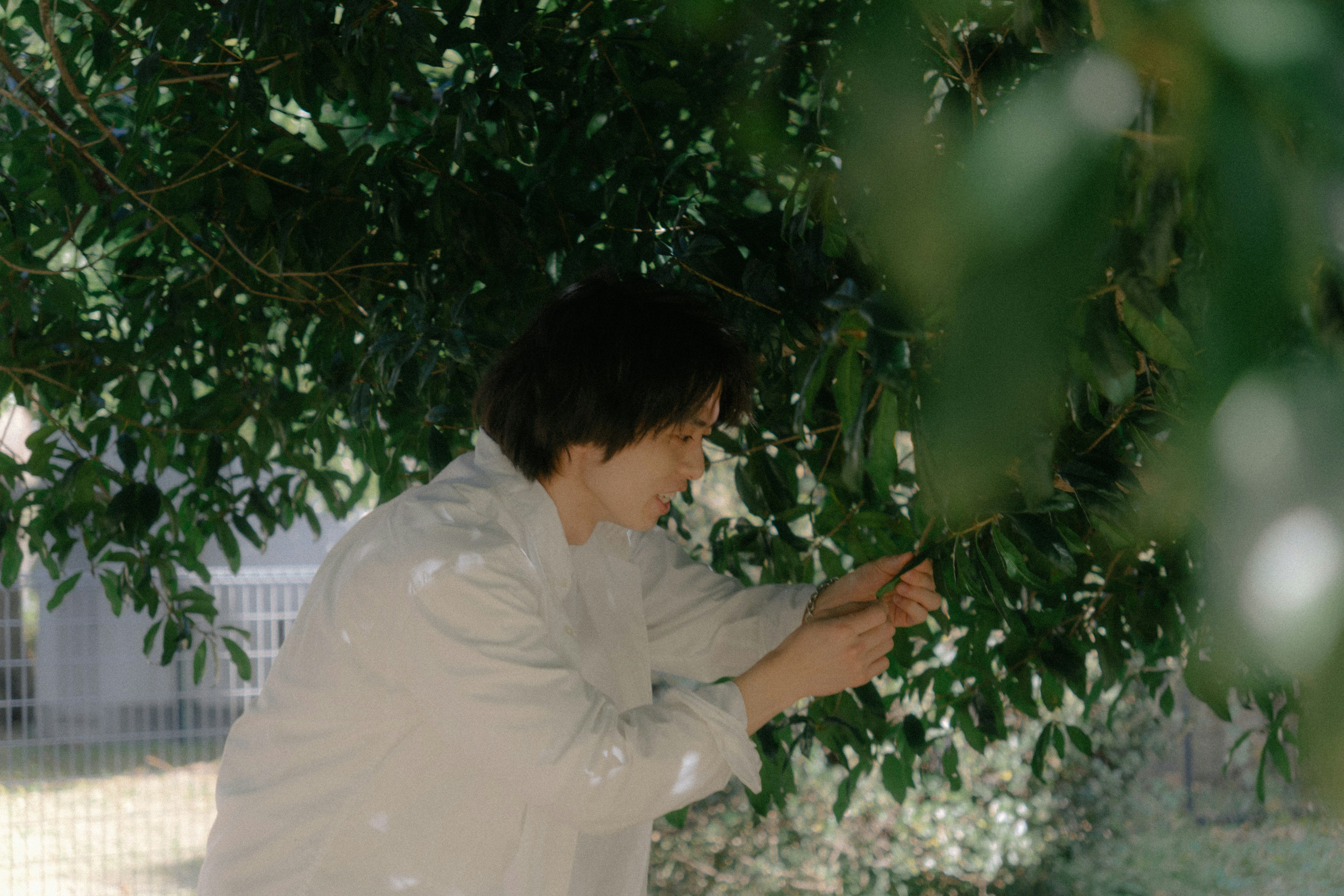 Femme atteignant des feuilles sous un arbre