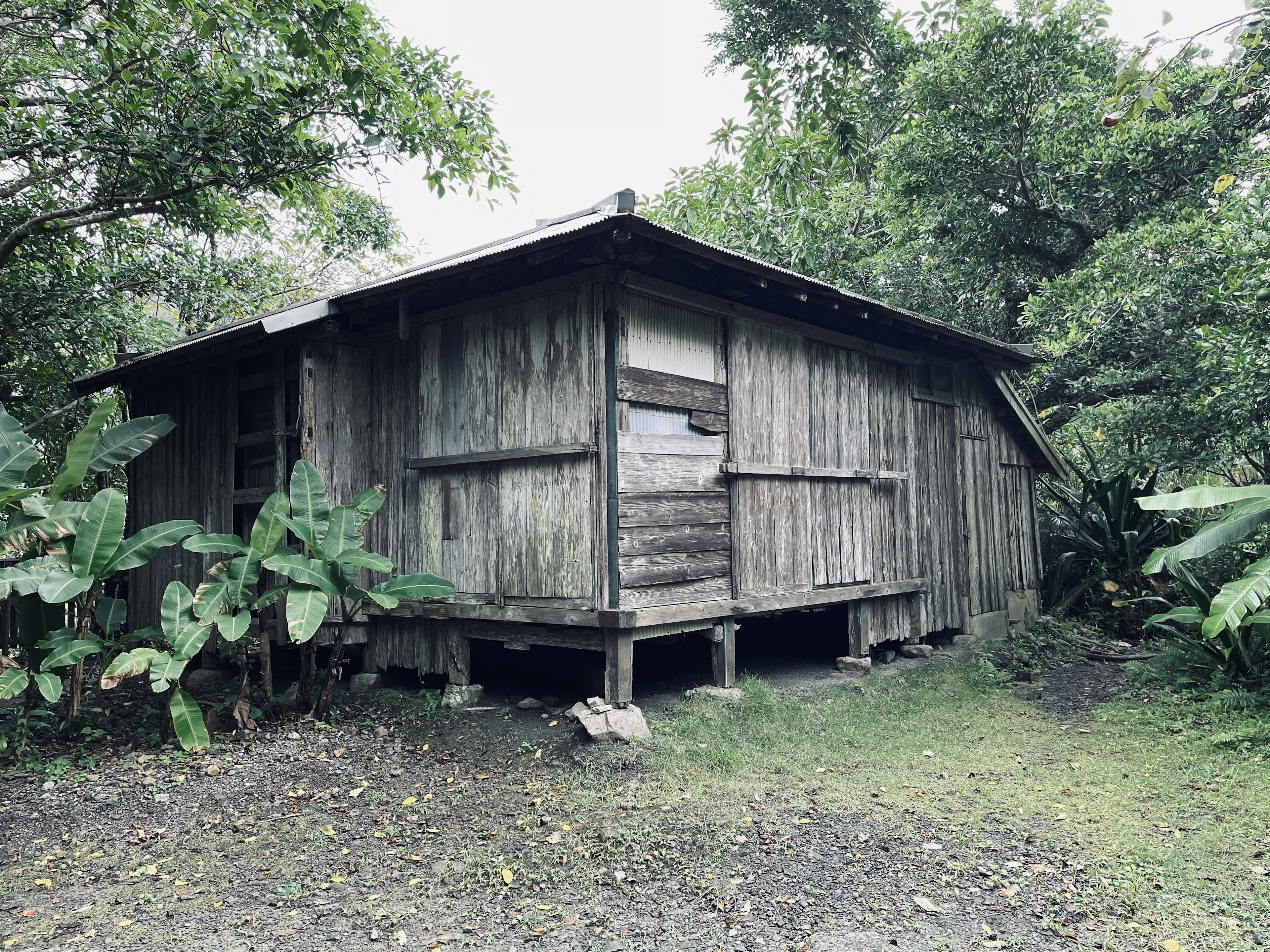 木造の小屋が緑に囲まれた風景