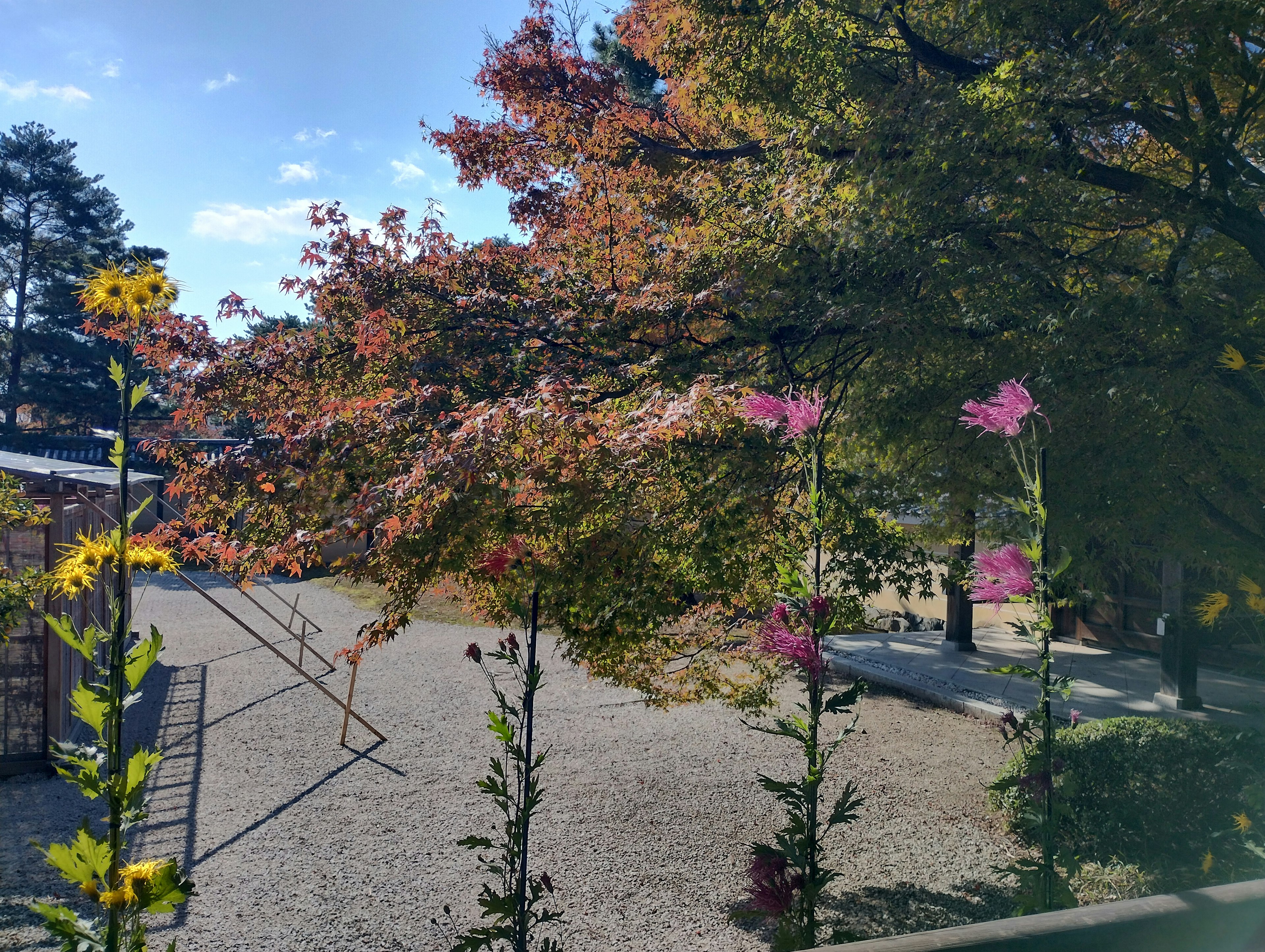 Una escena de jardín con flores coloridas en flor y hojas de otoño al fondo