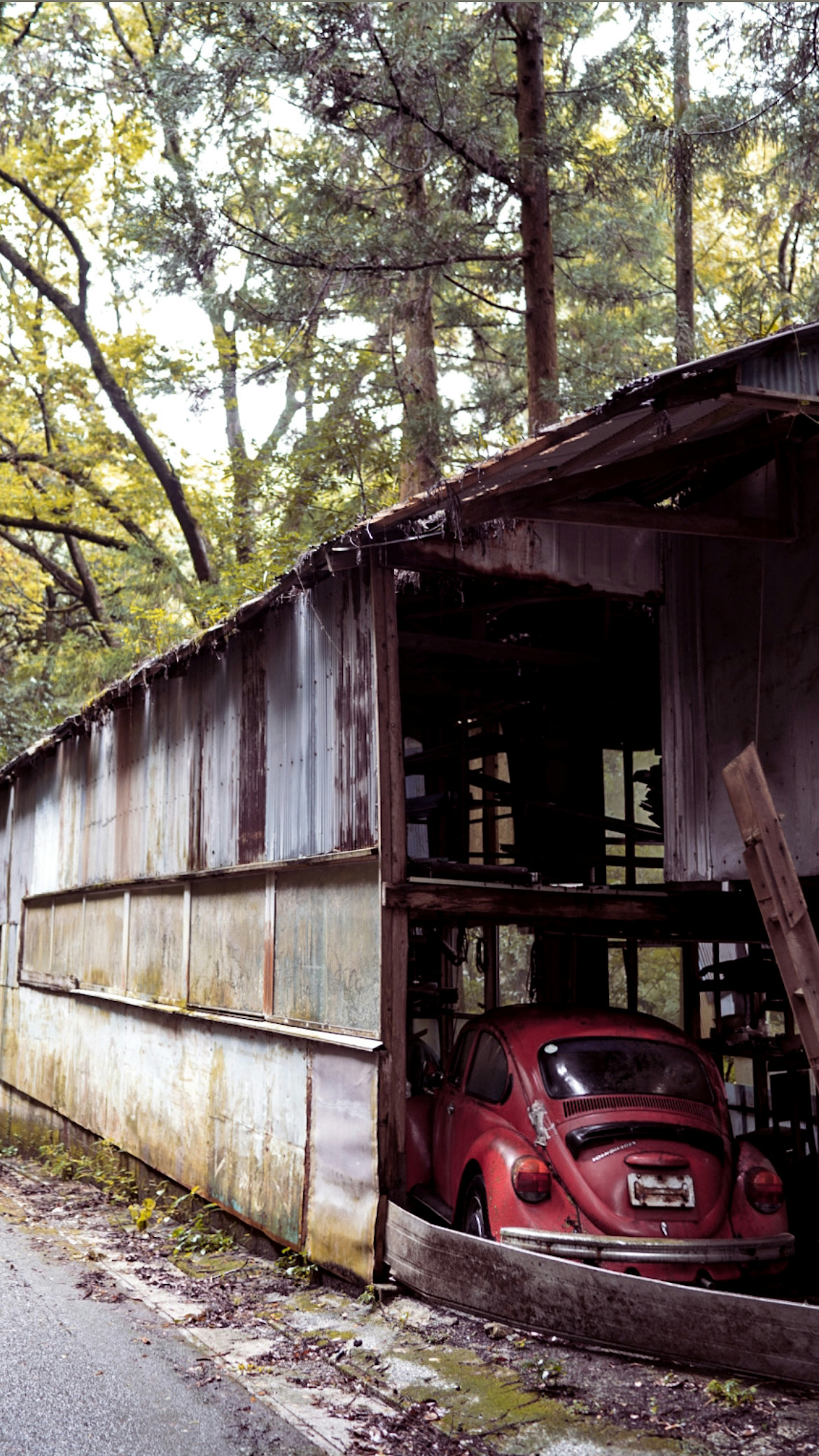 Une voiture vintage Volkswagen Coccinelle rouge garée dans un vieux hangar entouré d'arbres